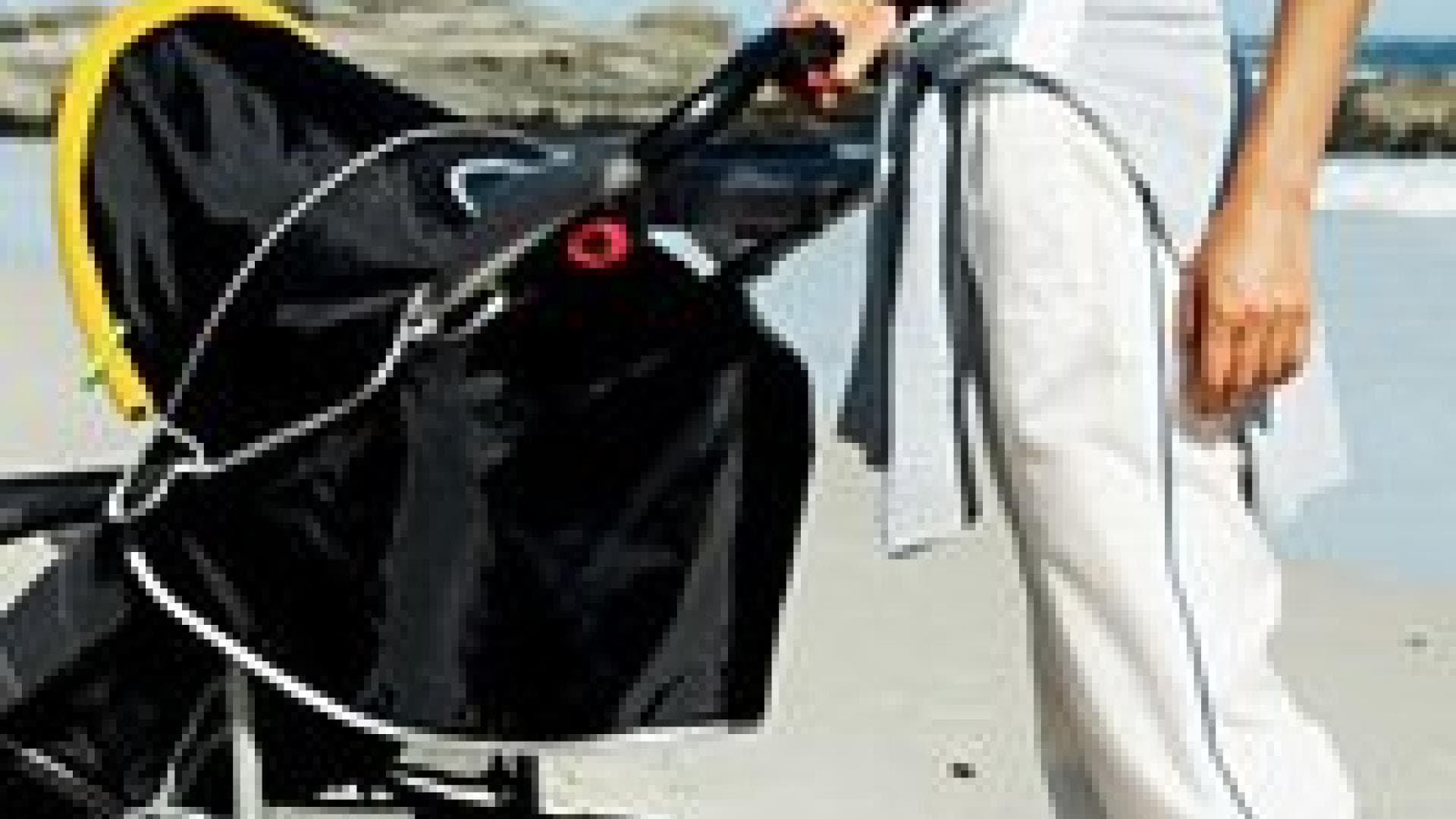 Welchen Kinderwagen brauchen Sie?