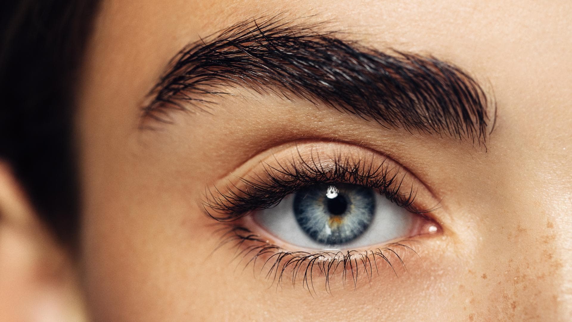 Wimpern