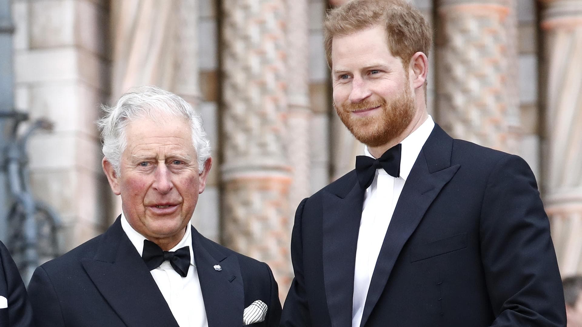 Prinz Charles und Prinz Harry