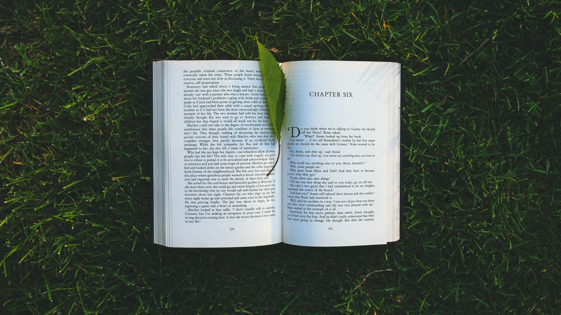 Die 3 schönsten Bücher für den Sommer
