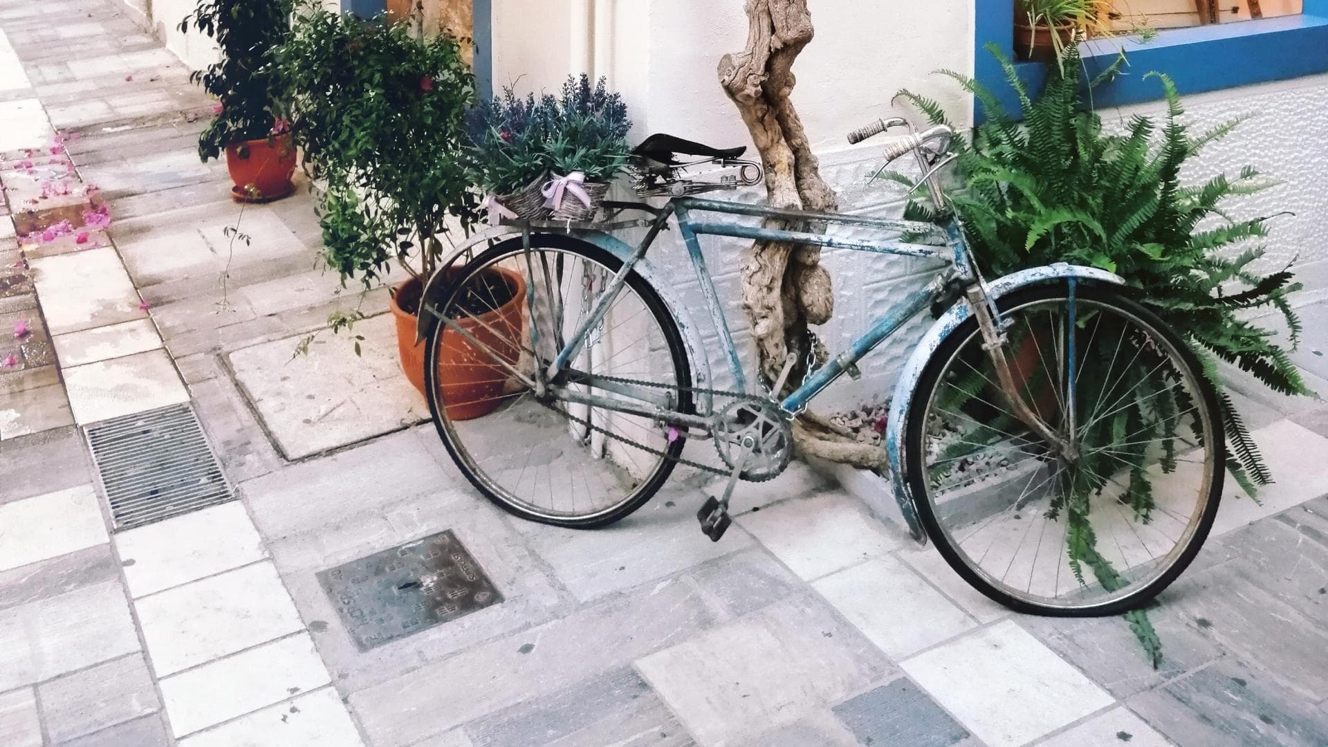 Fahrrad vor Haus