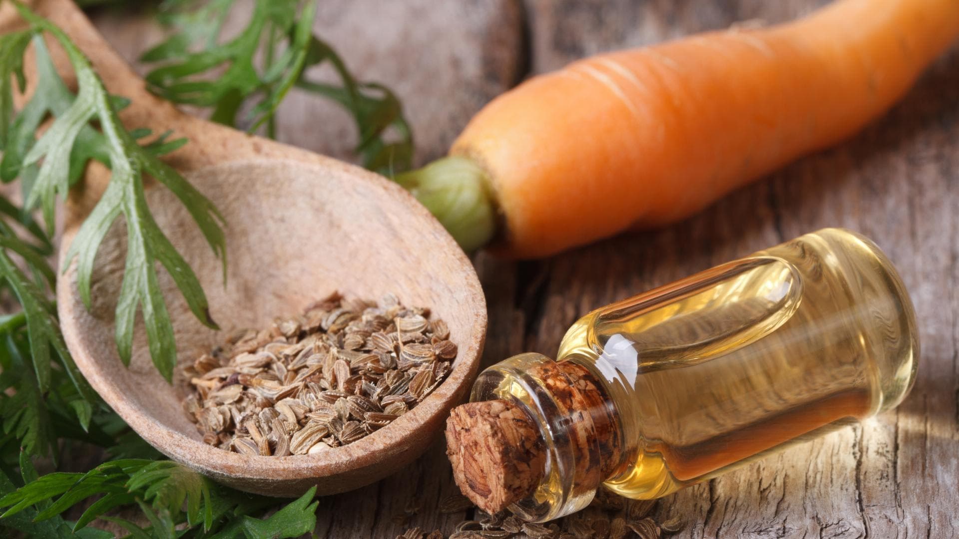 Karottenöl: Eine Karotte, ein Holzlöffel mit Samen und ein Fläschchen Öl liegen auf einem Holztisch