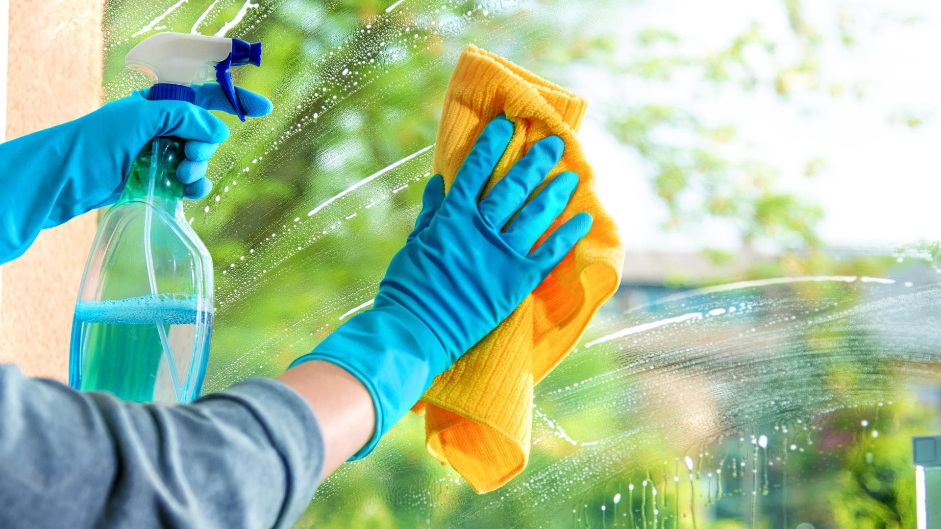 Fenster putzen: Hände mit Putzhandschuhen säubern eine Fensterscheibe