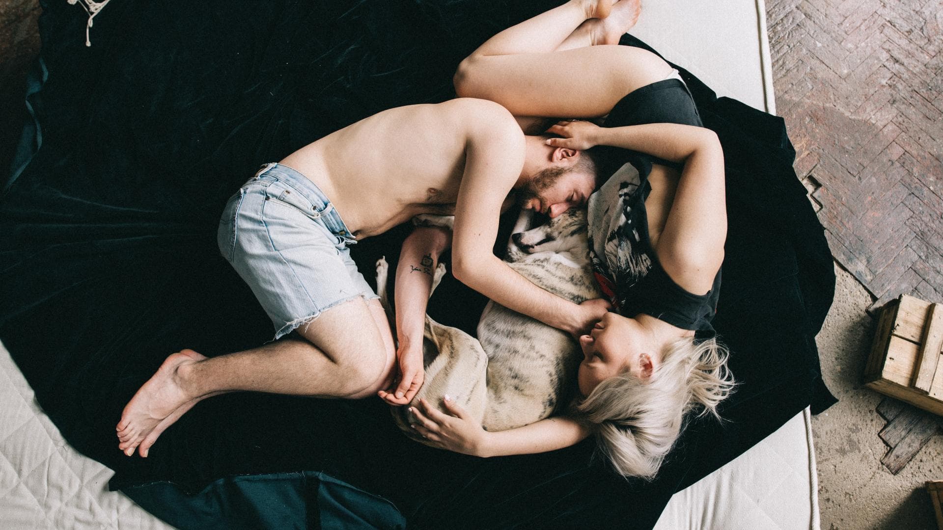 On-Off-Beziehung: Mann und Frau liegen mit Hund auf einem Bett 