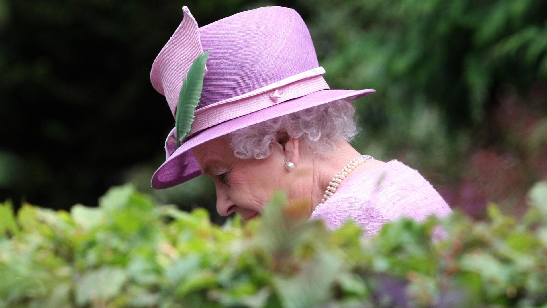 Queen im Garten