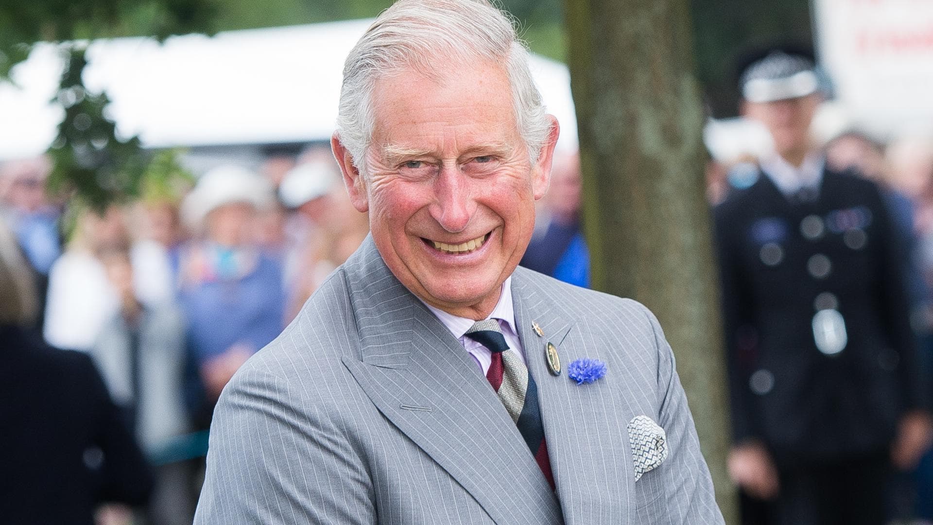 Prinz Charles Pläne als König