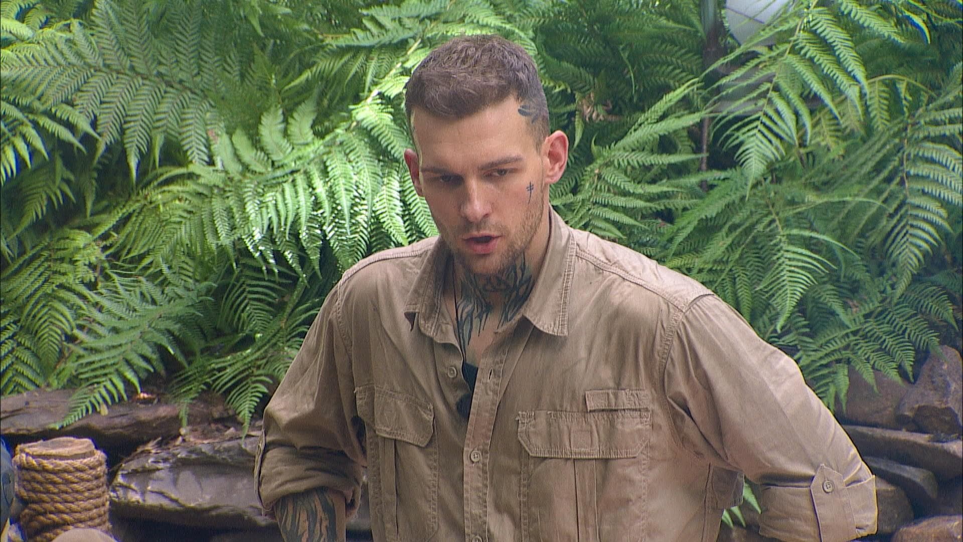 Eric Stehfest Dschungelcamp 