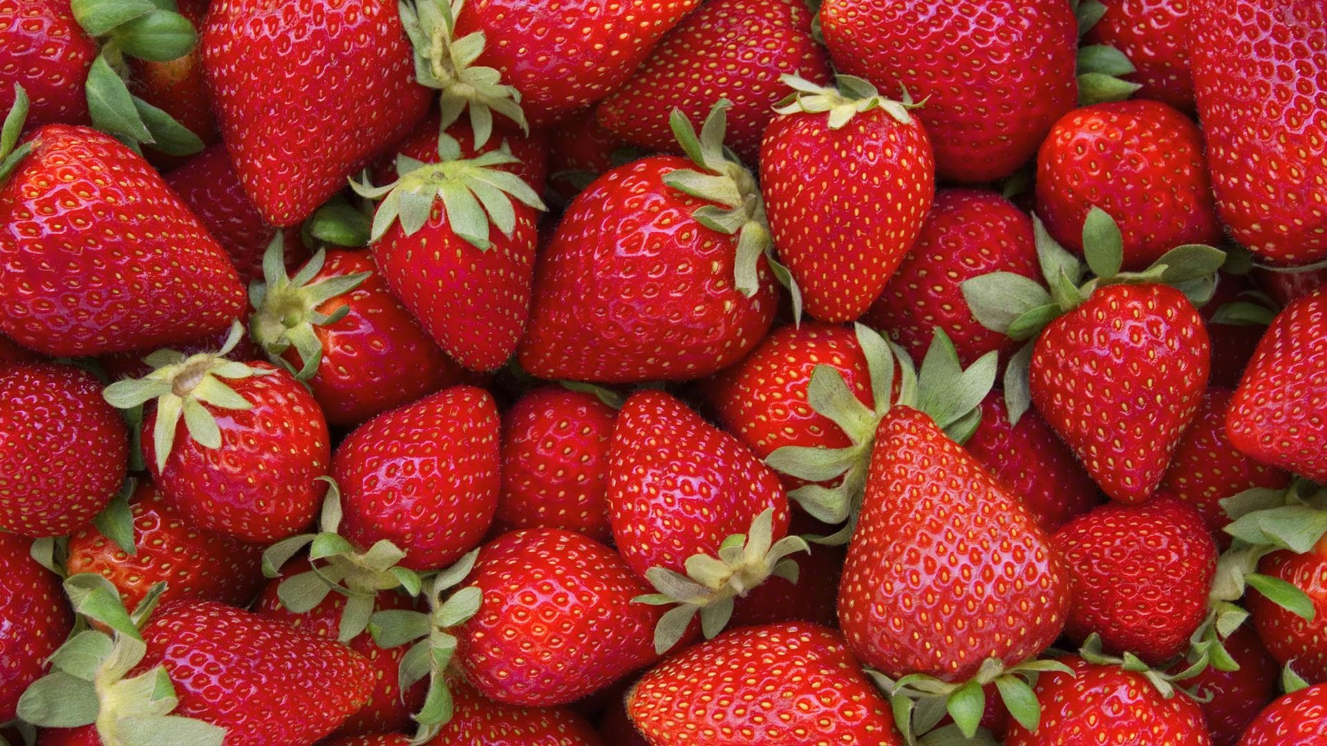 Frische, rote Erdbeeren 