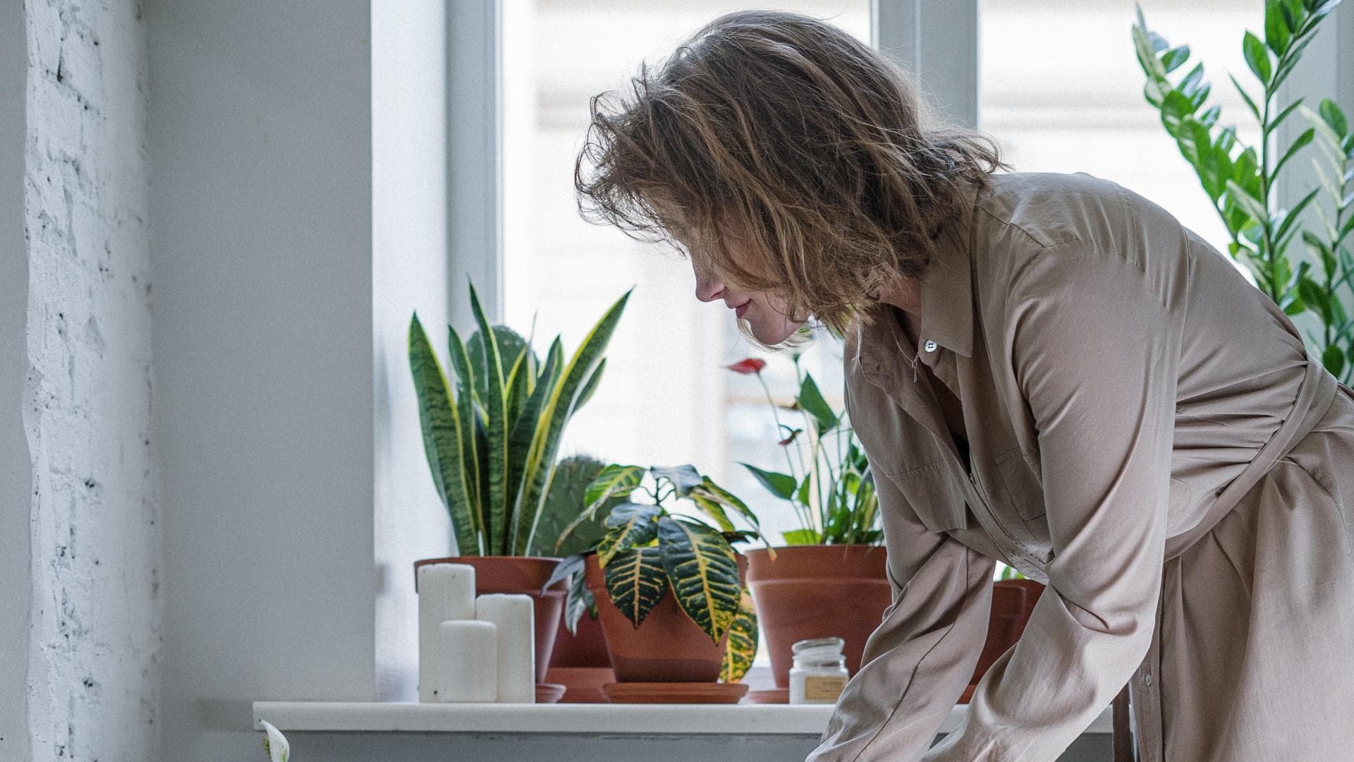 Frau gießt Zimmerpflanze