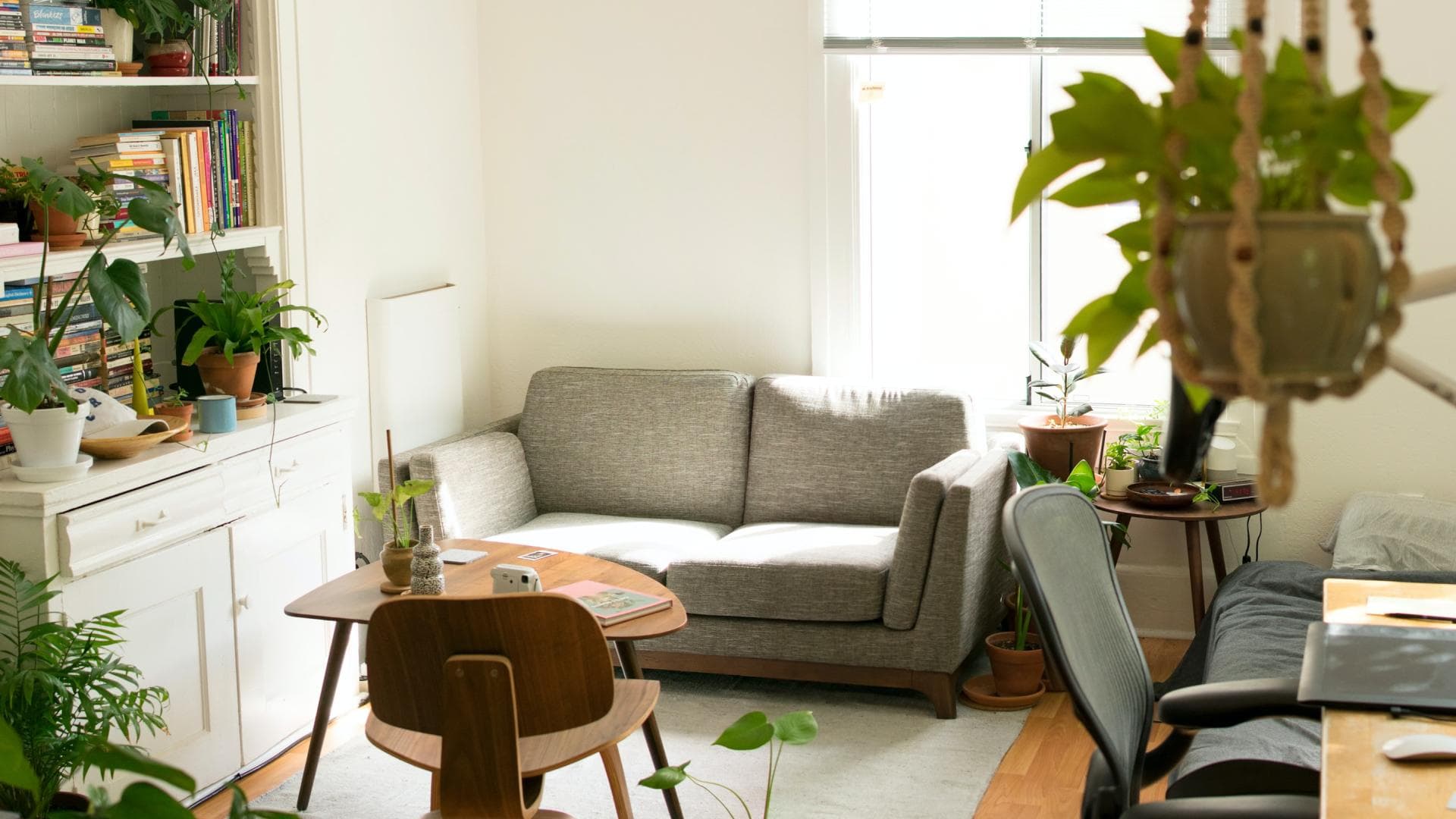 Wohzimmer mit Pflanzen