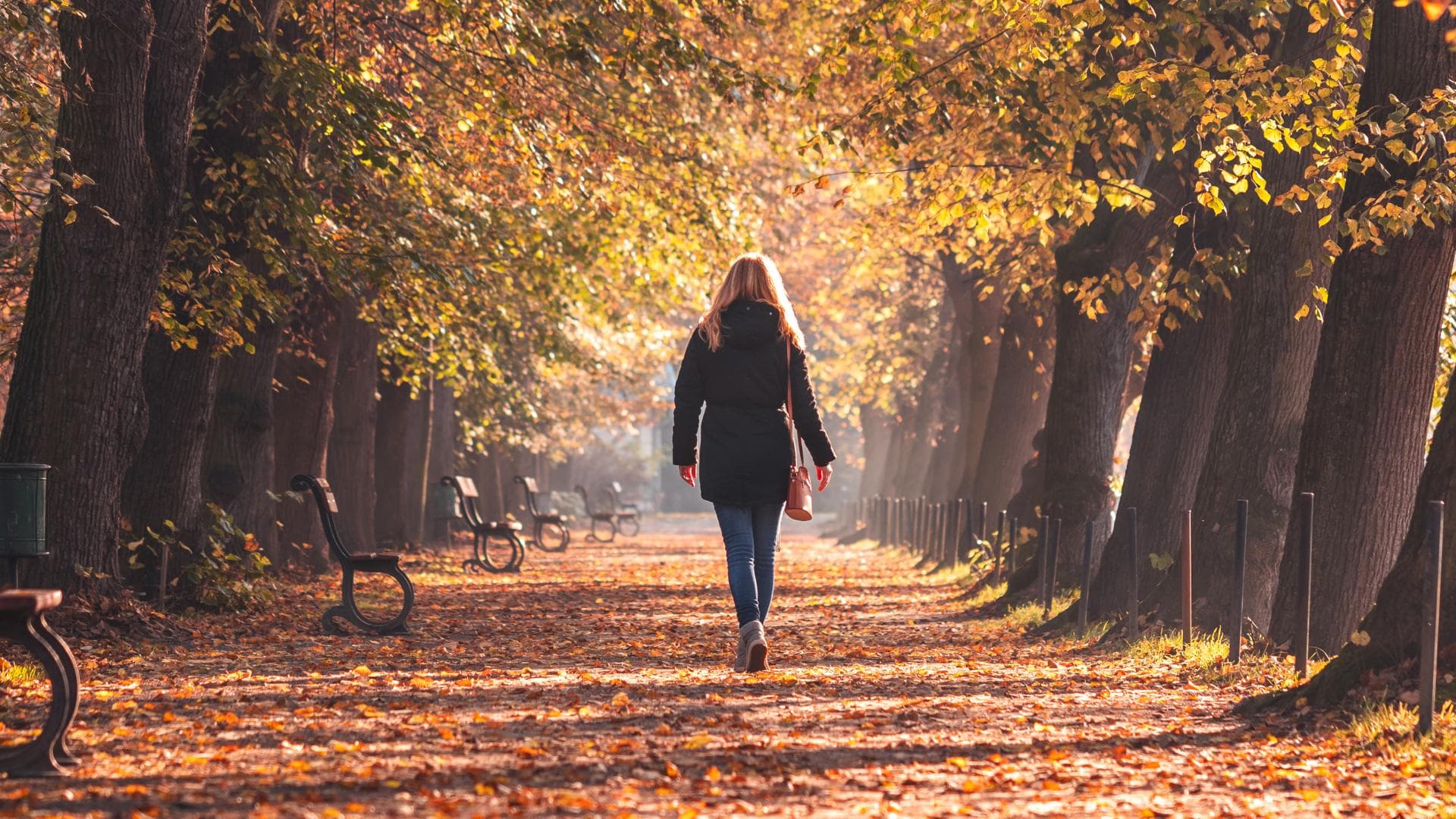 Frau spaziert im herbstlichen Wald