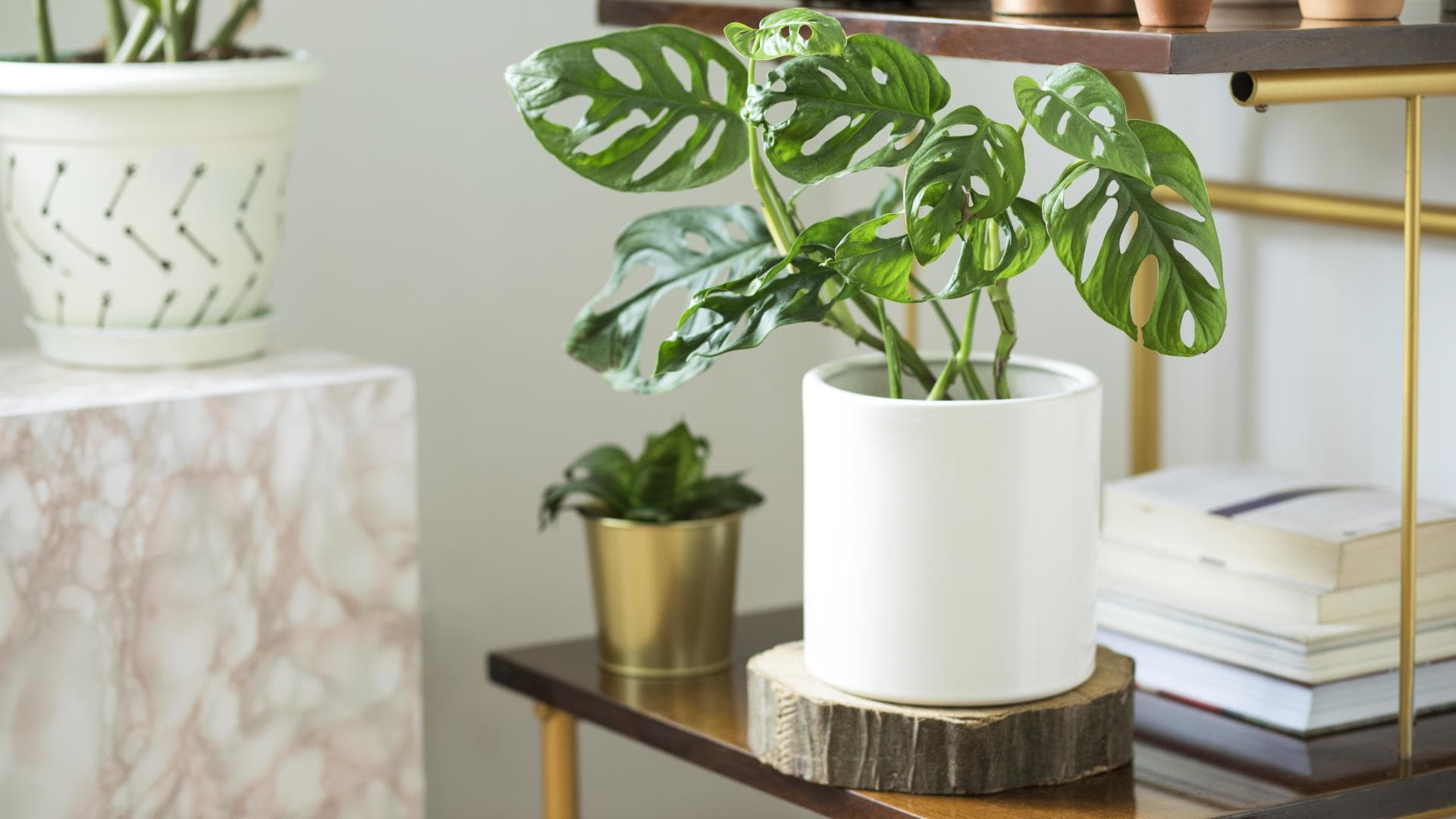 WOhnzimmer gemütlich