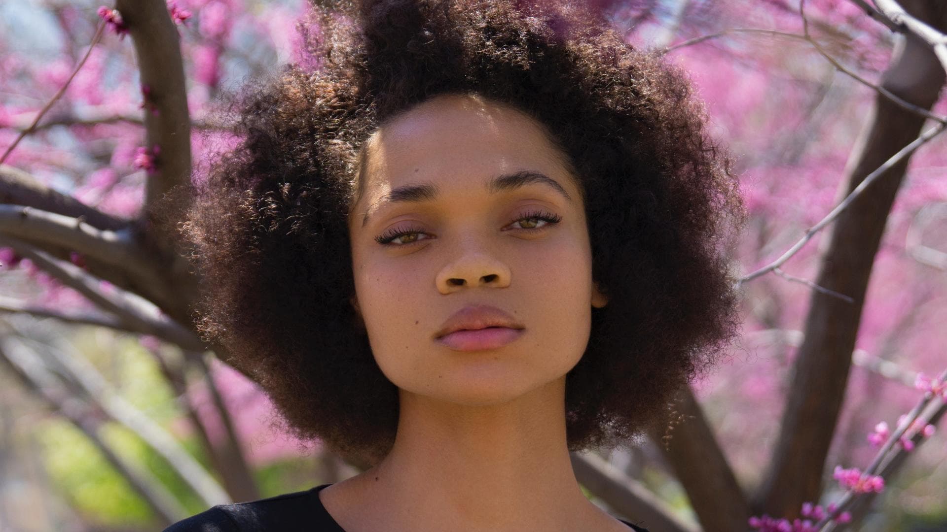 101 Essays that will change the way you think