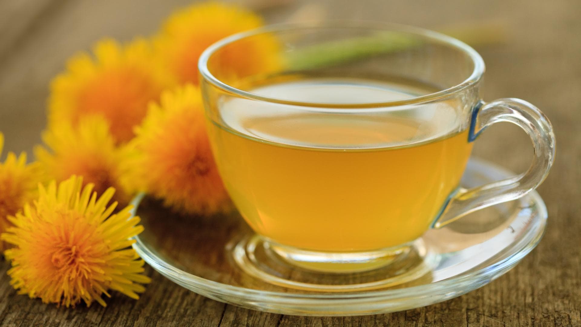 Löwenzahntee Wirkung