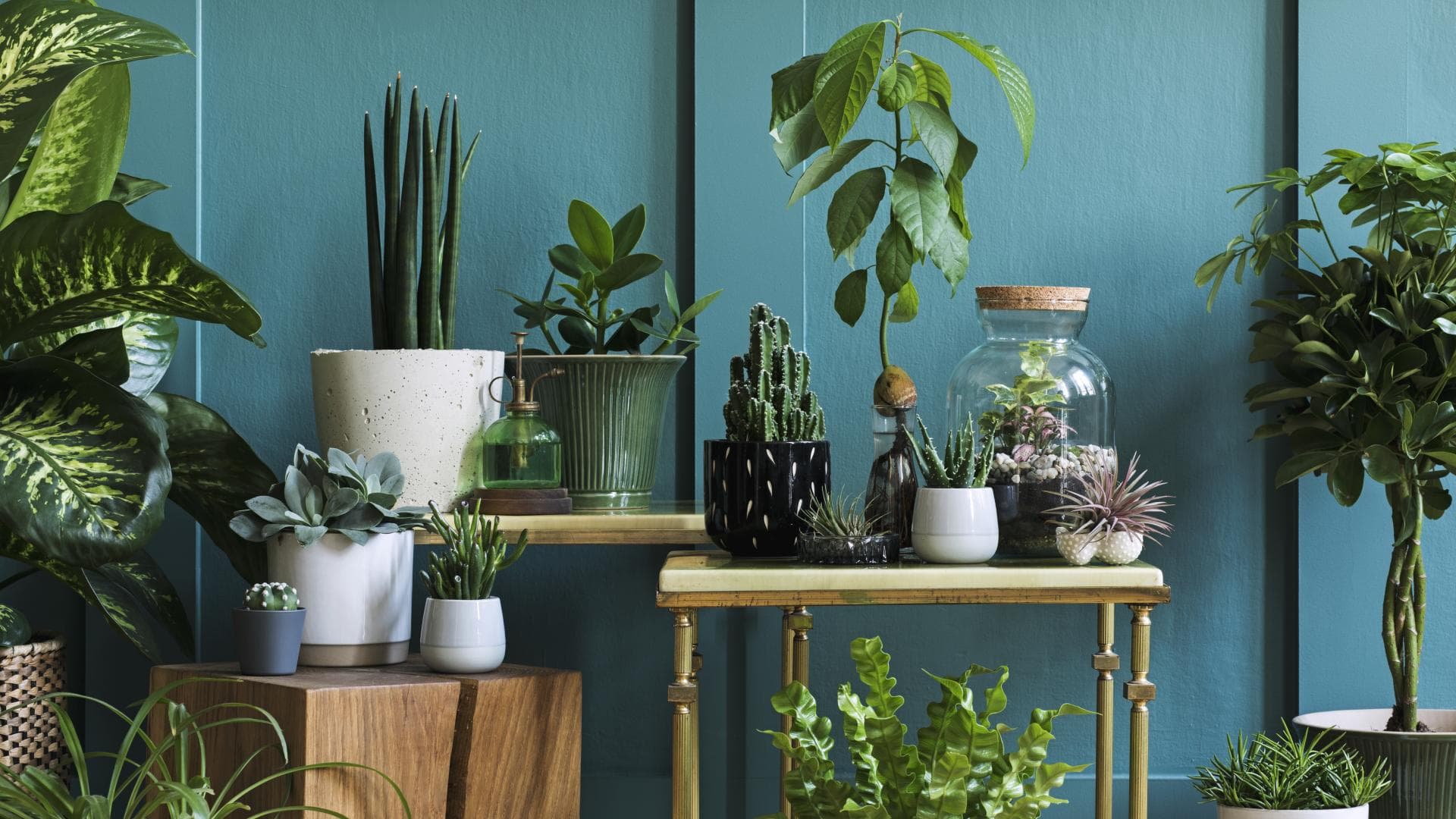 Greenterior Wohntrend