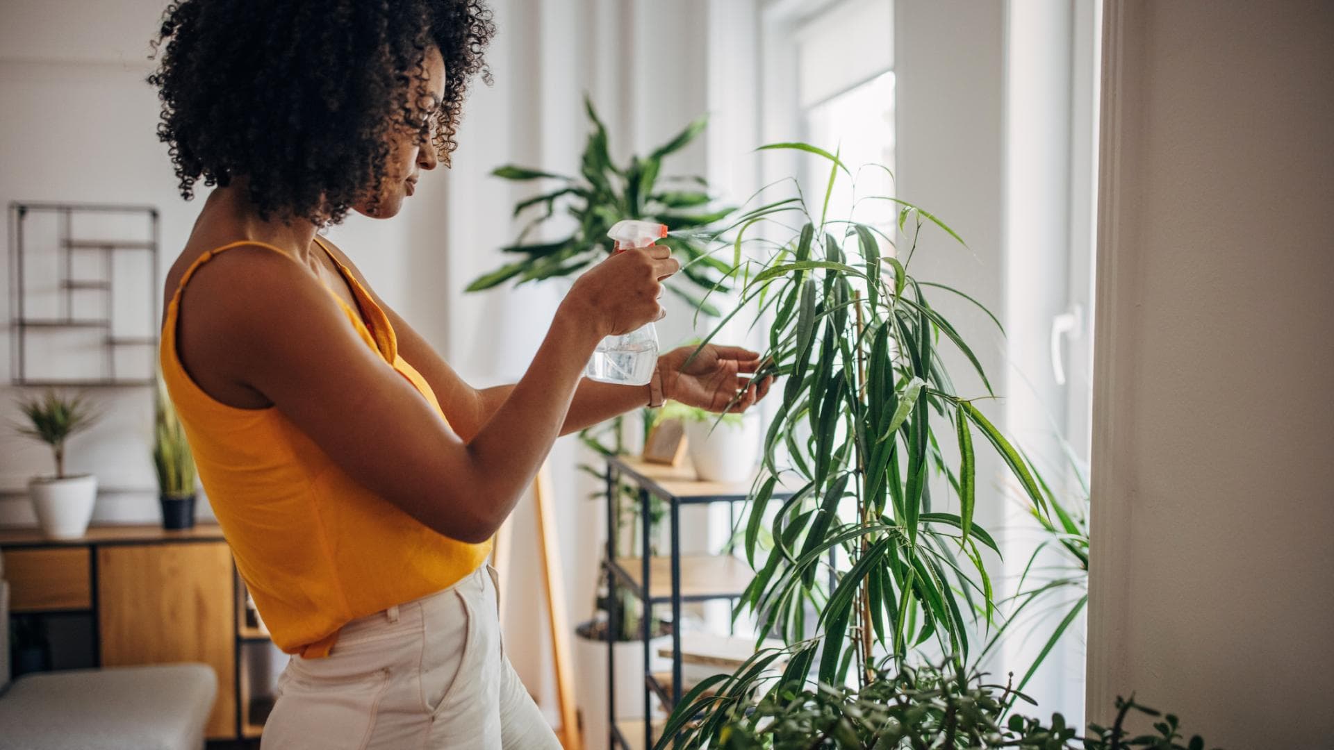 Frau mit Pflanze in Wohnung