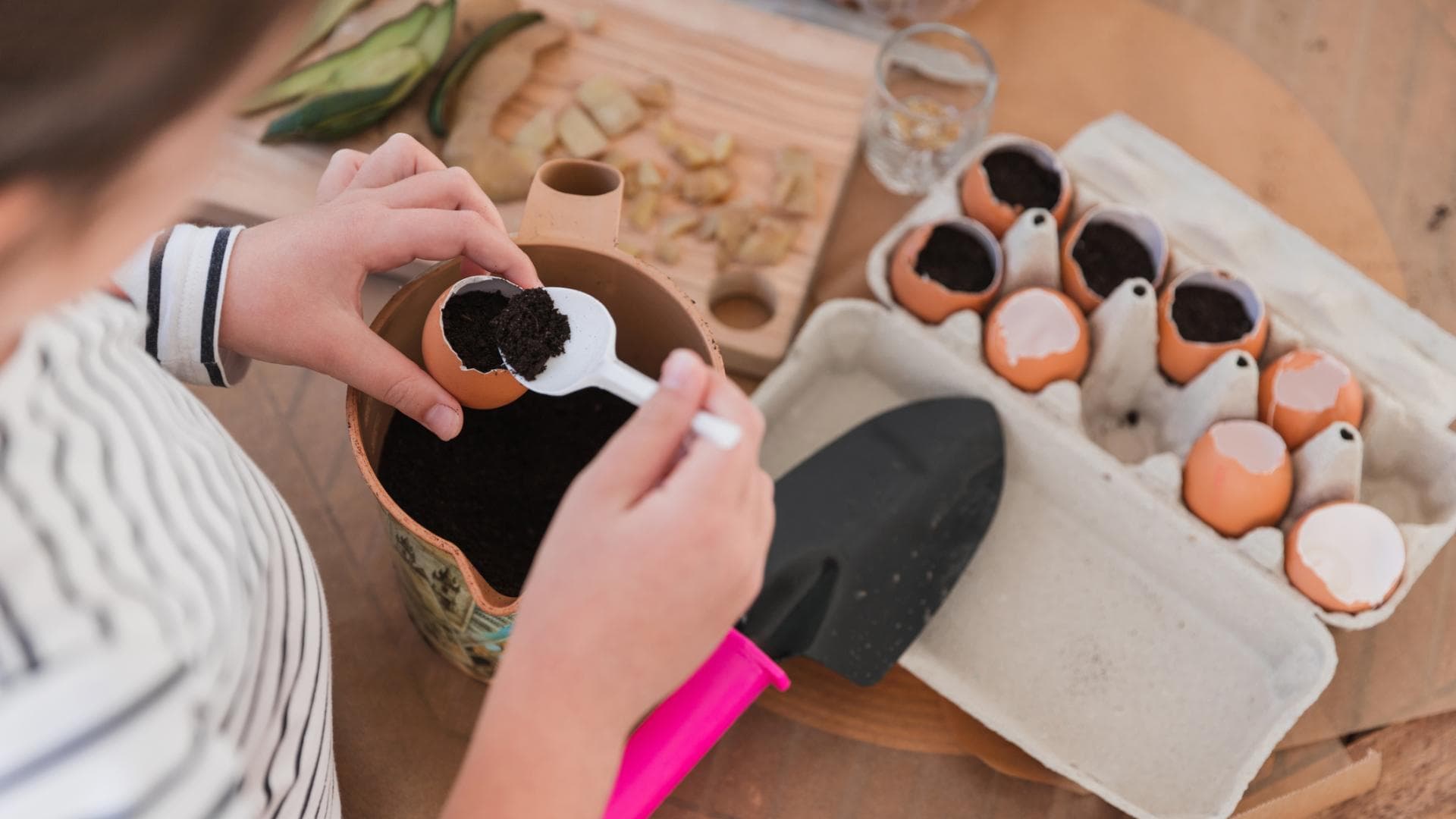 Frau bepflanzt Eierschale