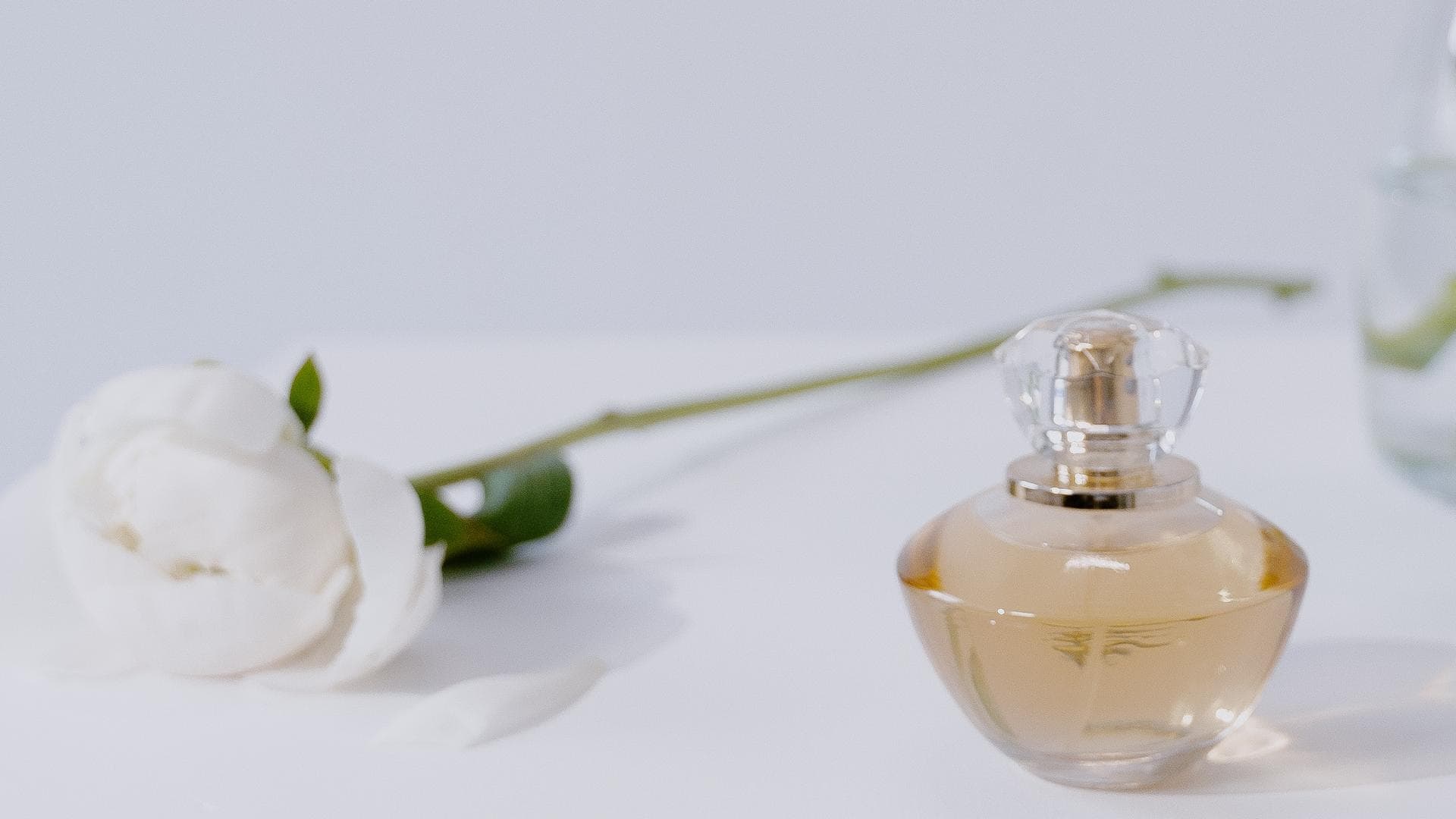 Parfum für den Frühling