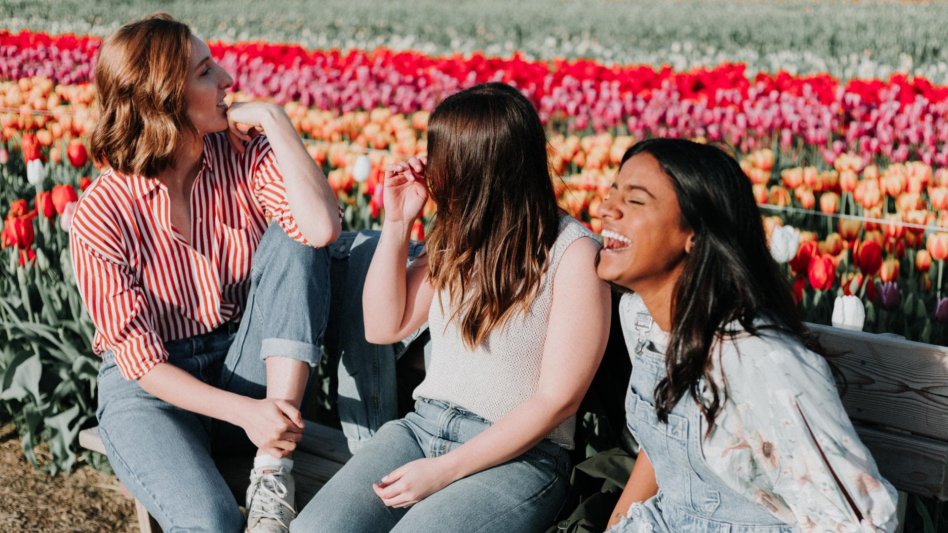 Frauen lachen auf Parkbank