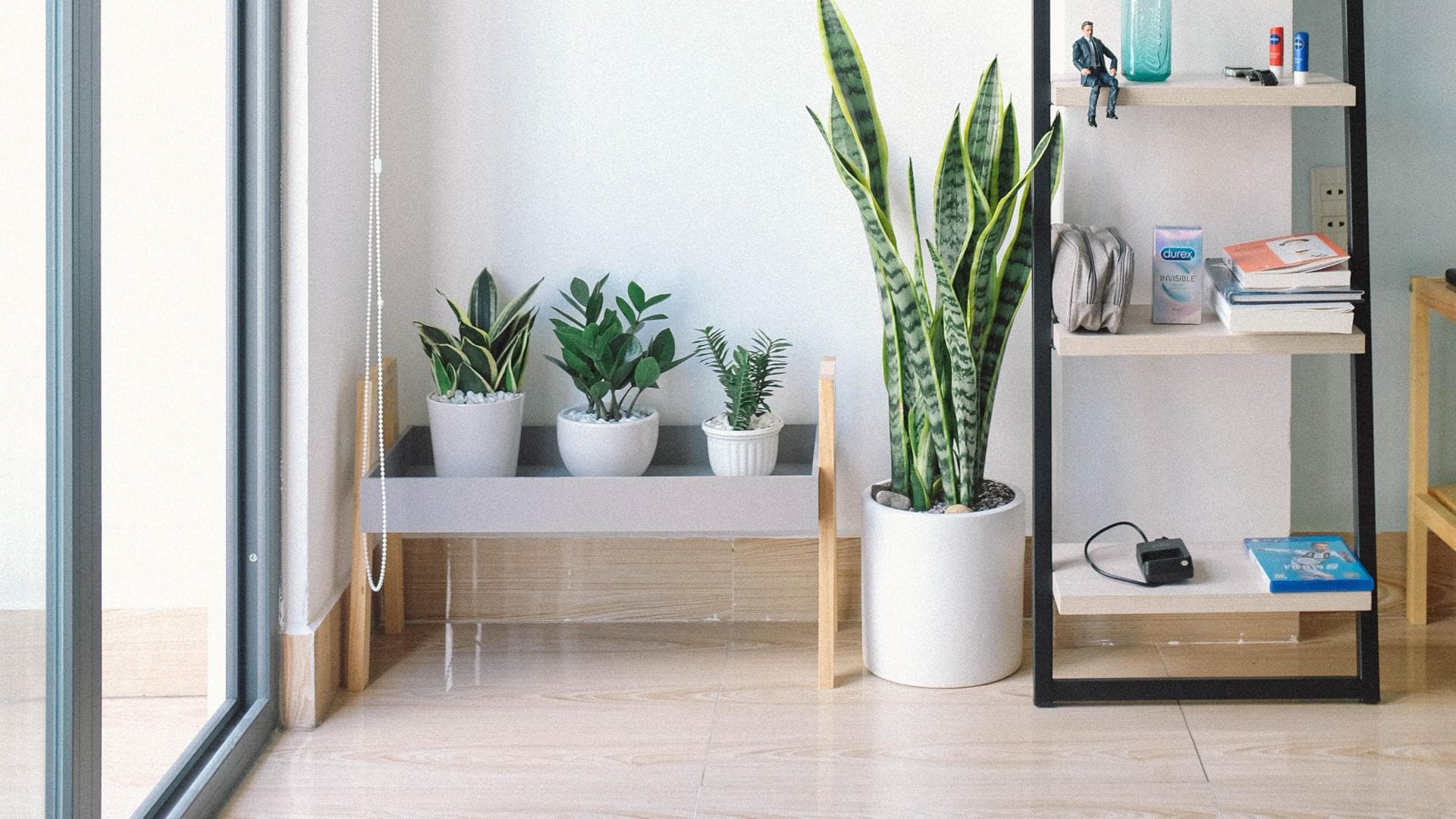 Pflanzen und Regale sind ideal für Ecken und Nischen