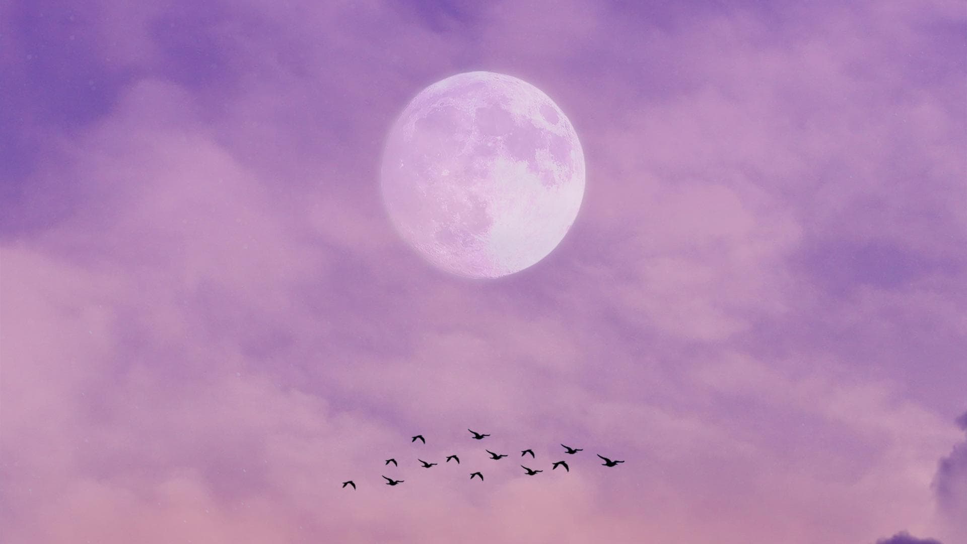 Vollmond am pinken Himmel