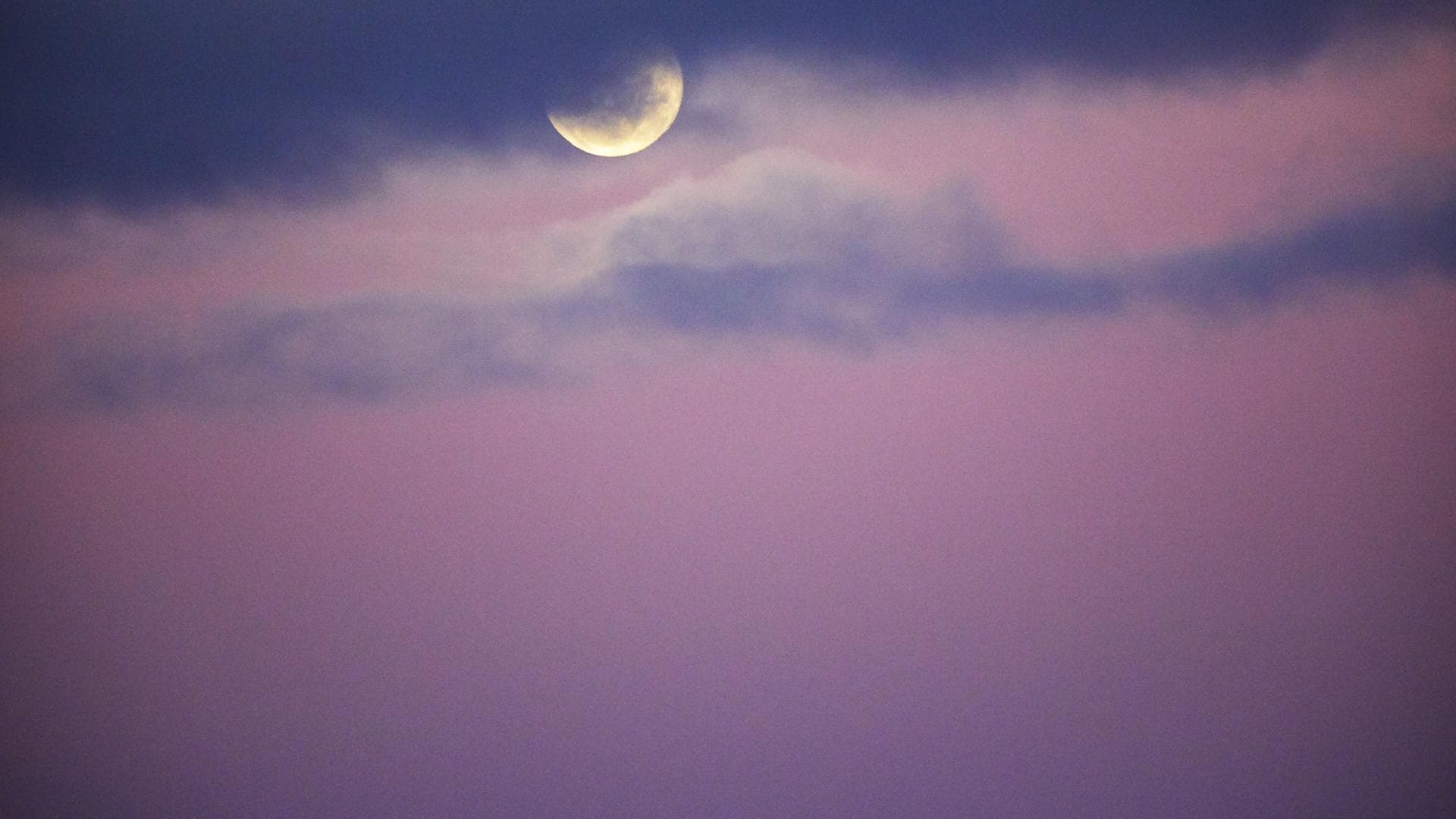 Pink Moon am 13. April: Diese 3 Sternzeichen müssen loslassen