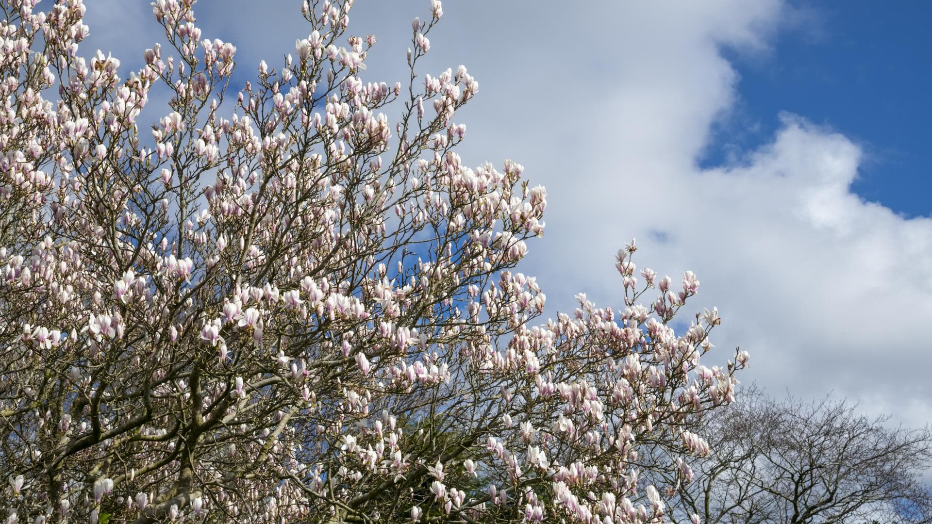  Das halten die Sterne vom 07.4 bis 13.4 für dich bereit