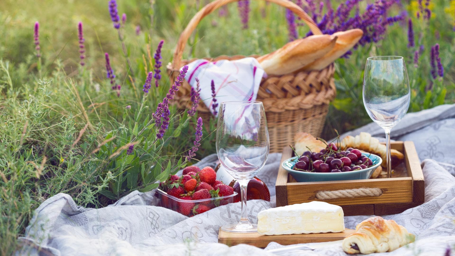 Ein Picknick im Sommer