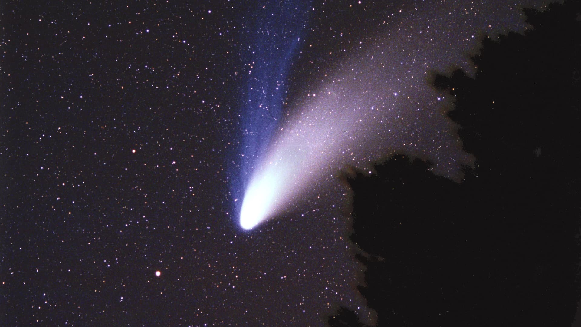 Perseiden 2025: Für diese 3 Sternzeichen geht ein Wunsch in Erfüllung