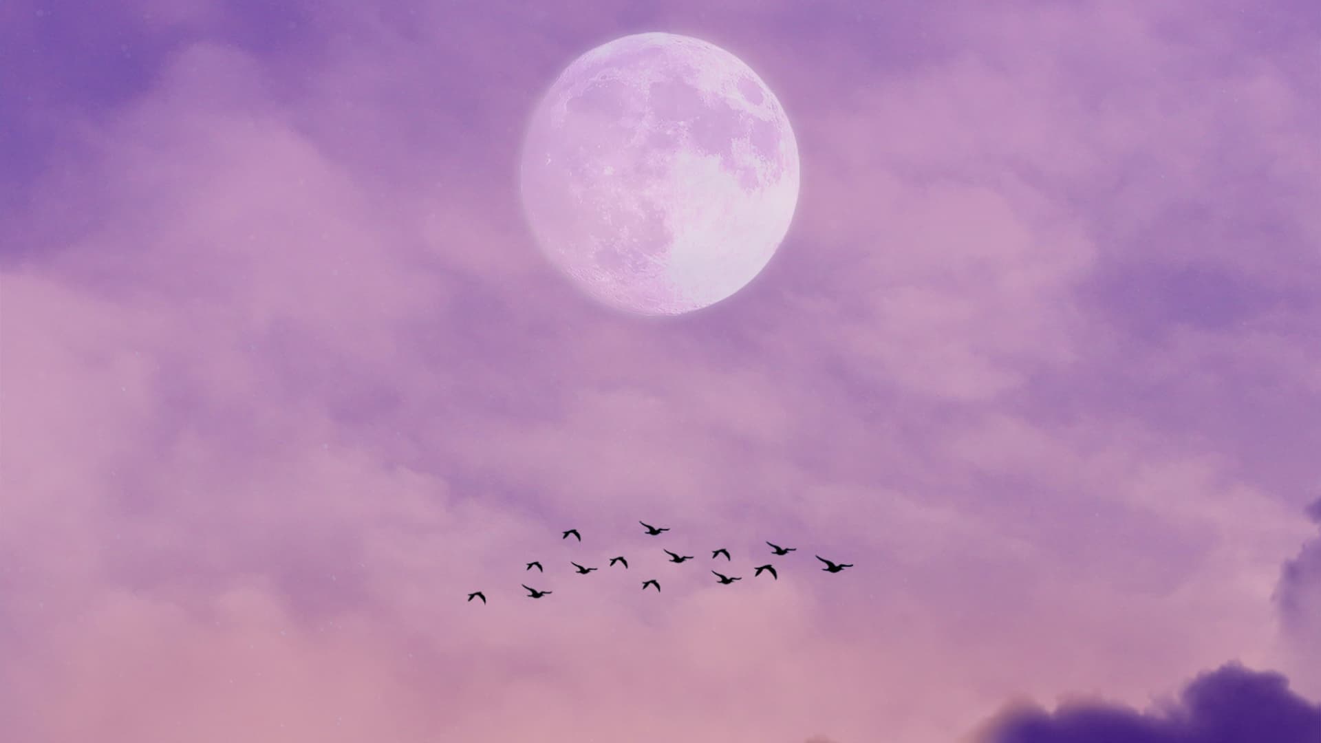 Lila Abendhimmel mit Vollmond