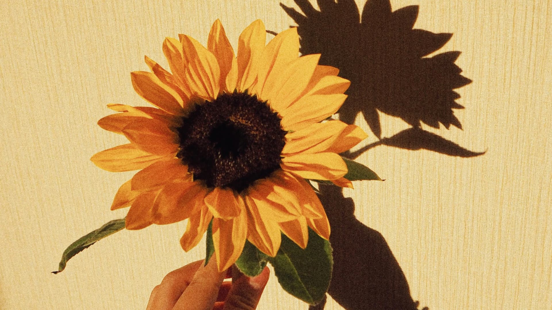 Sonnenblumen Nageldesign