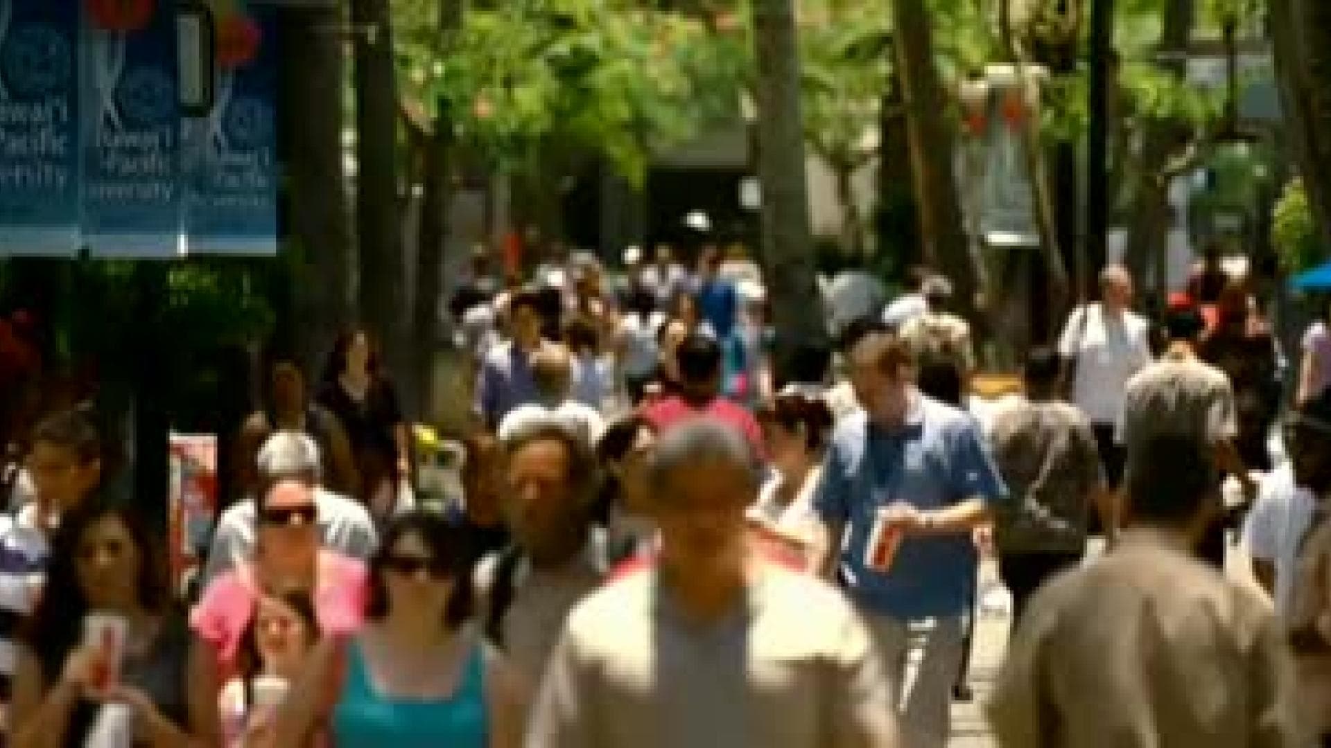 trailer-zu-the-descendants-480x204-1396409.jpg