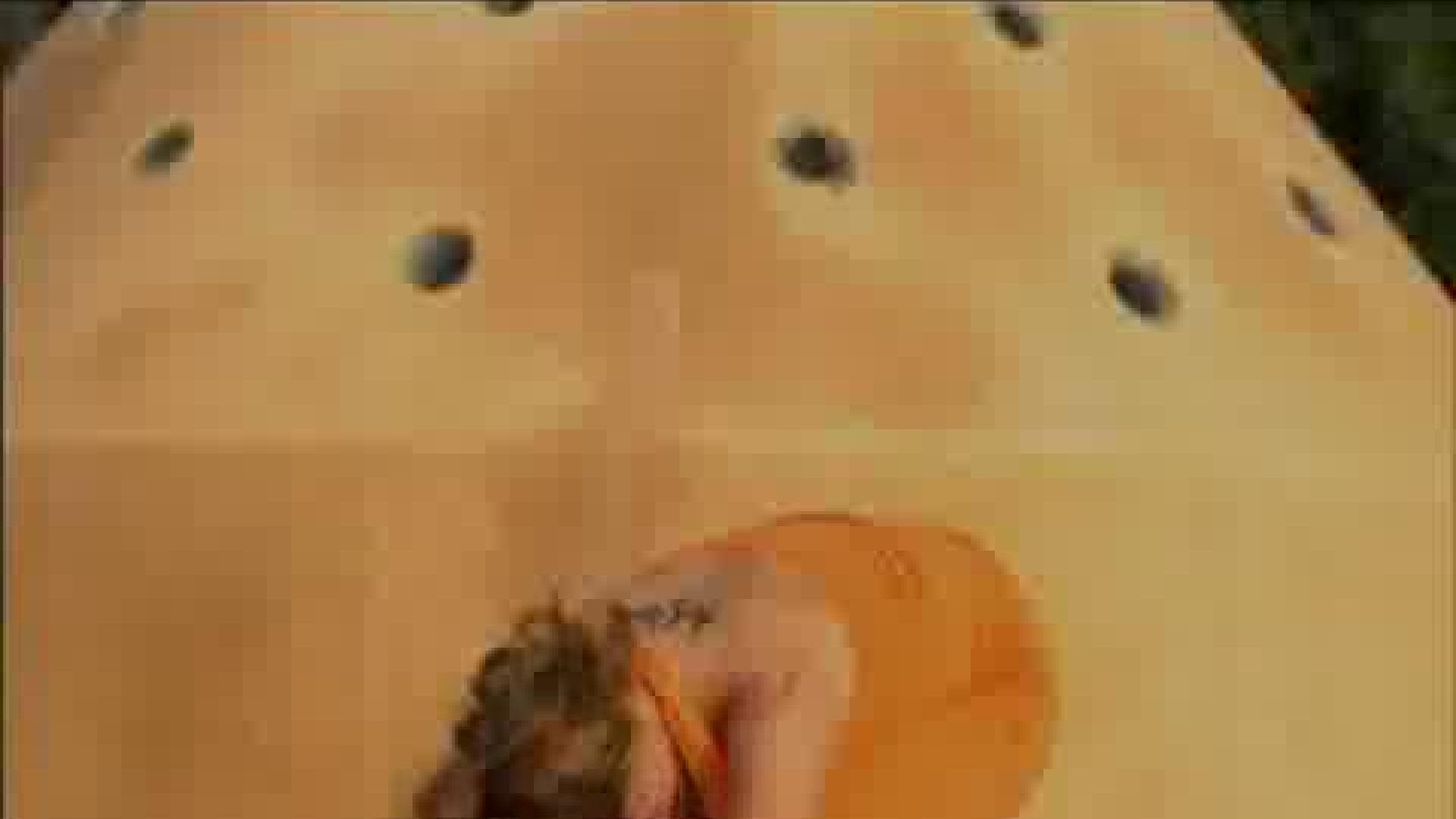yoga-video-drehendes-helden-dreieck-480x360-1237865.jpg