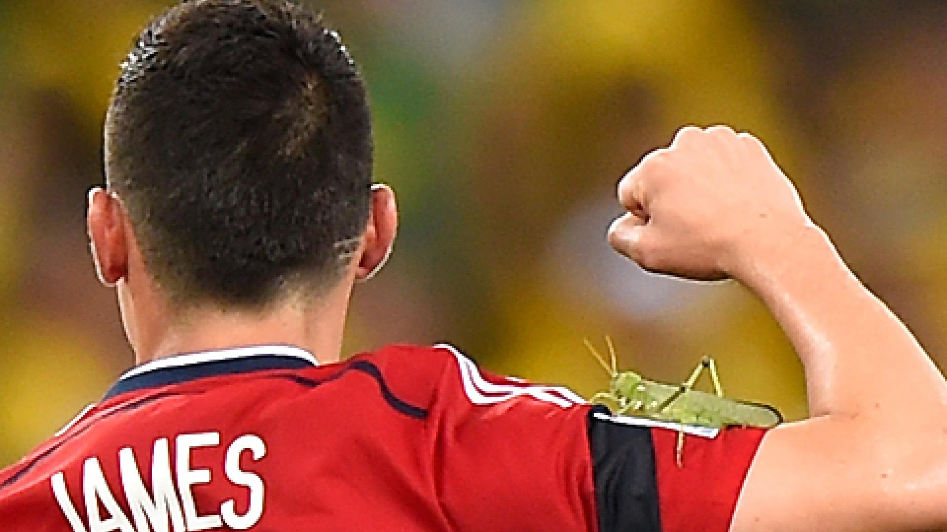 james-rodriguez-insekten-attacke-1967304.jpg