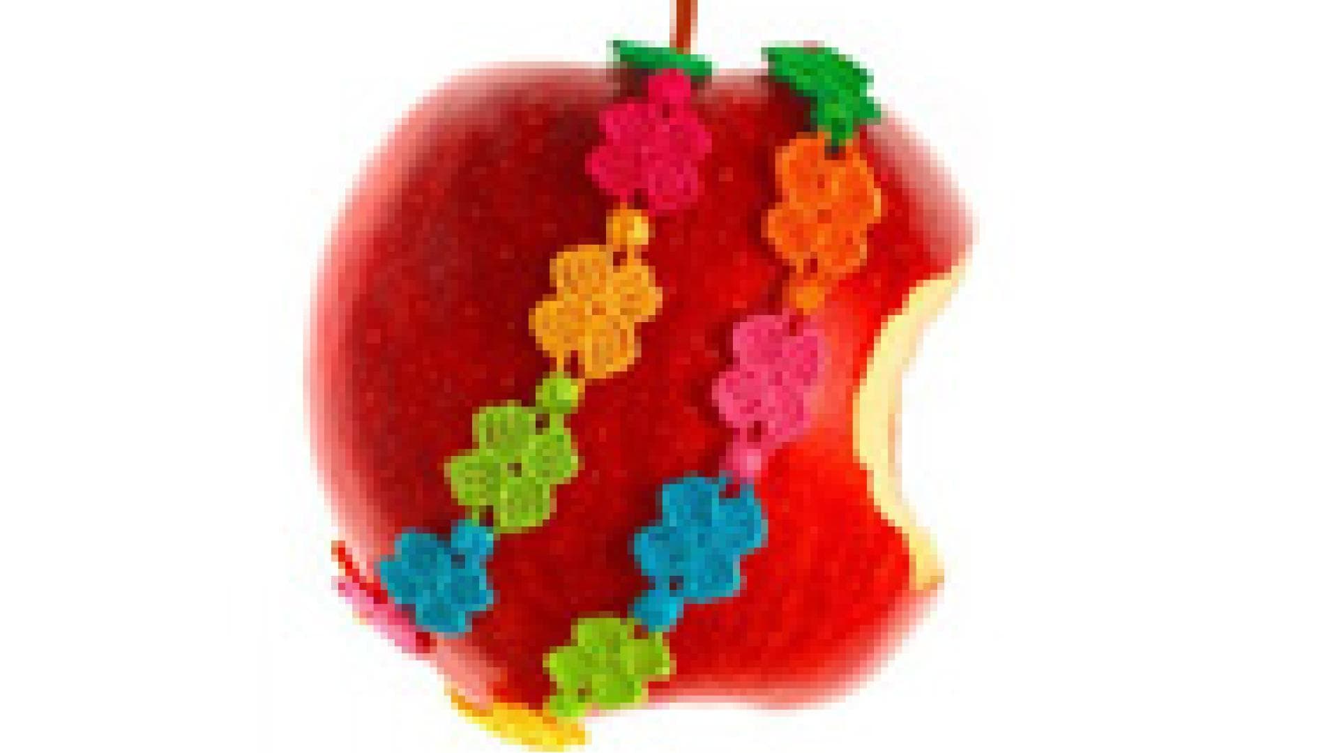 Freundschaftsbänder