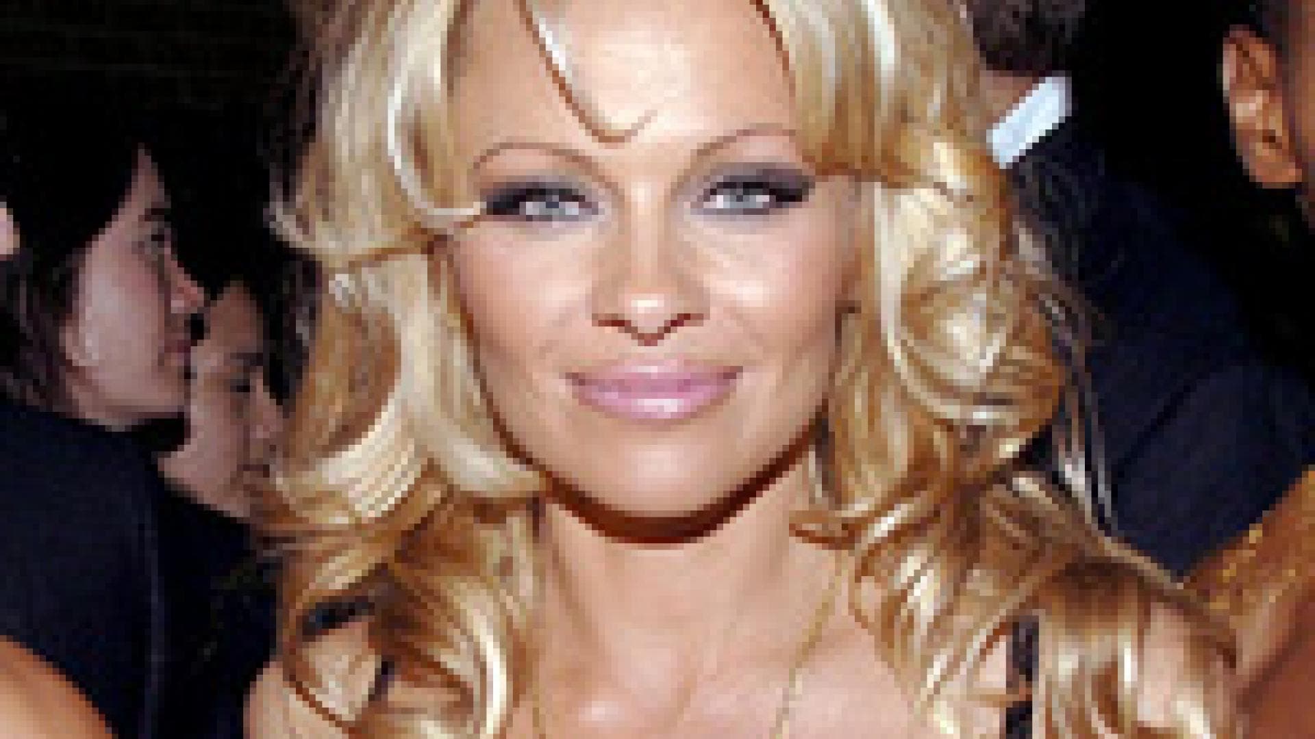 Pamela-Faktor: Die Brüste der Stars