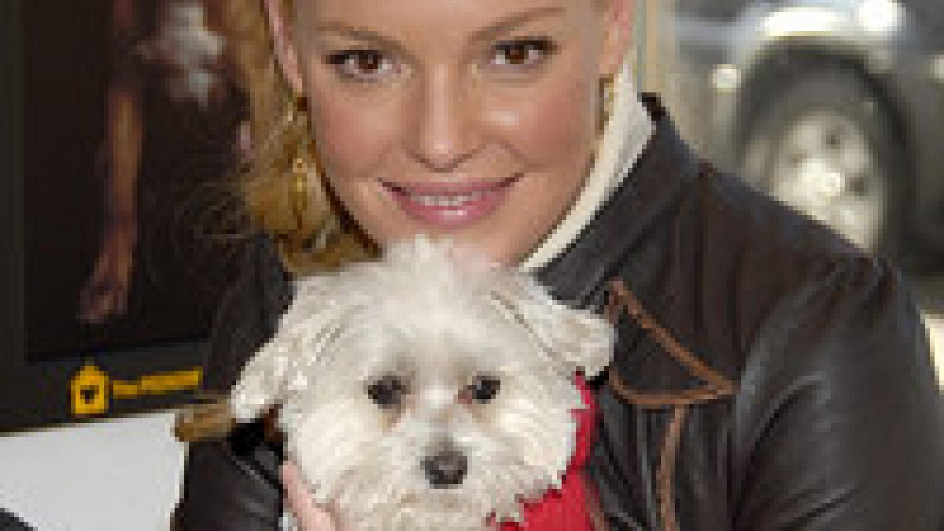 Durch die Jahre mit Katherine Heigl