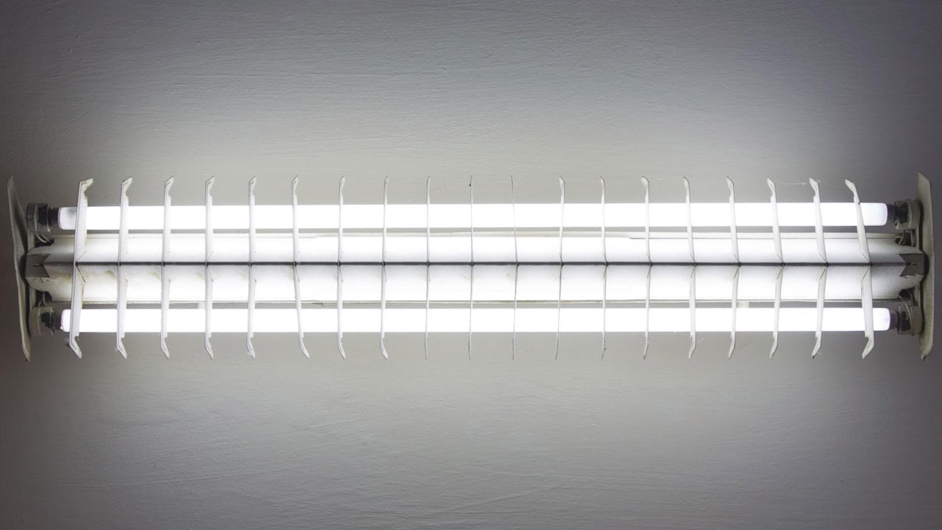 Dinge, die Horrorfans Angst einjagen