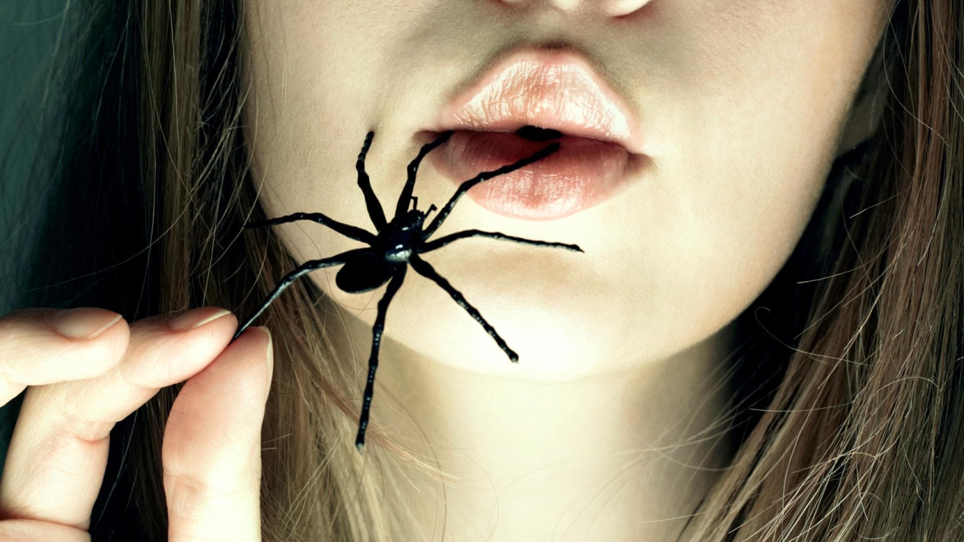 Wie Viel Spinnen Isst Ein Mensch Im Schlaf www.jolie.de