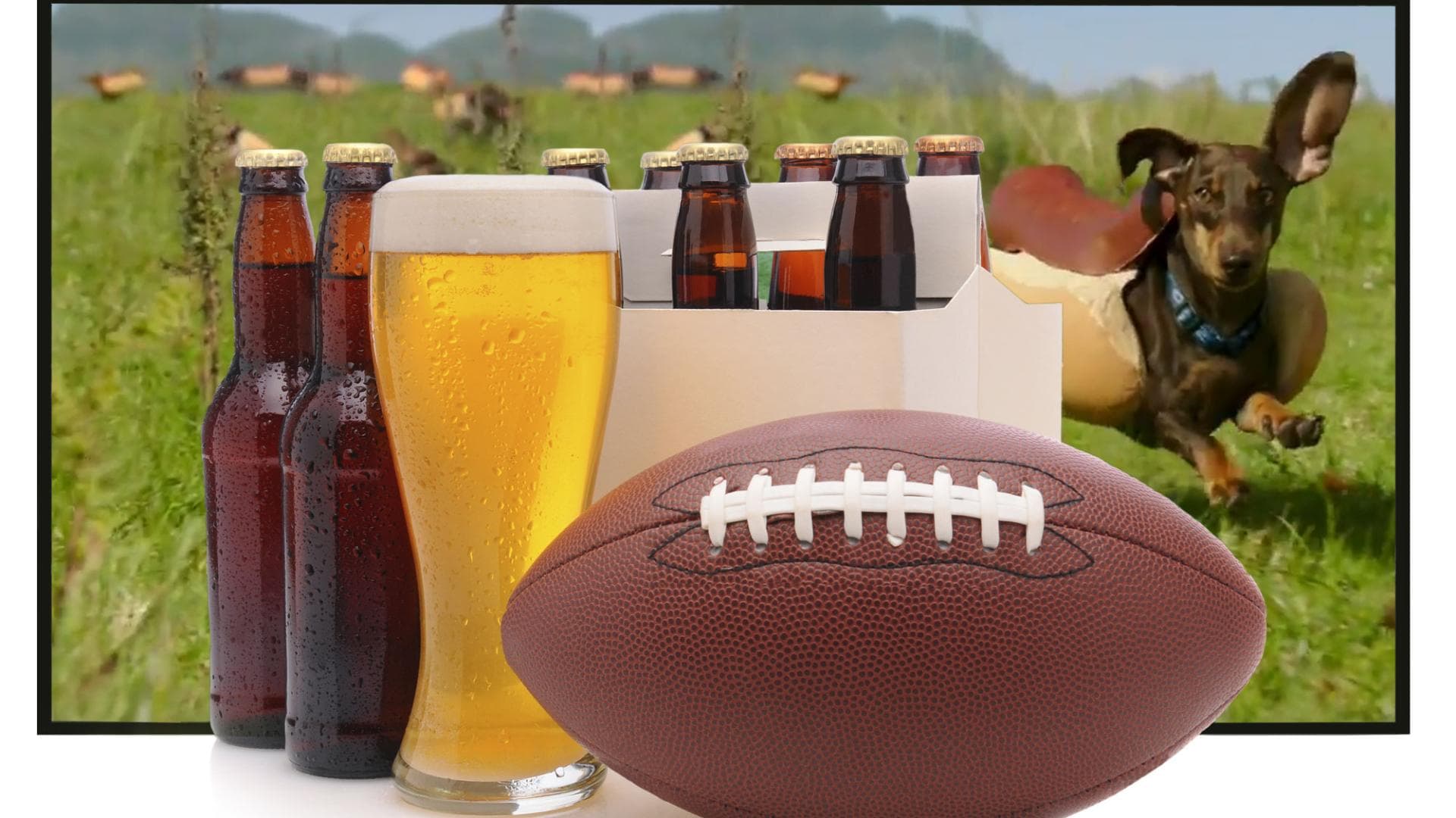 Witzige Super Bowl Werbung