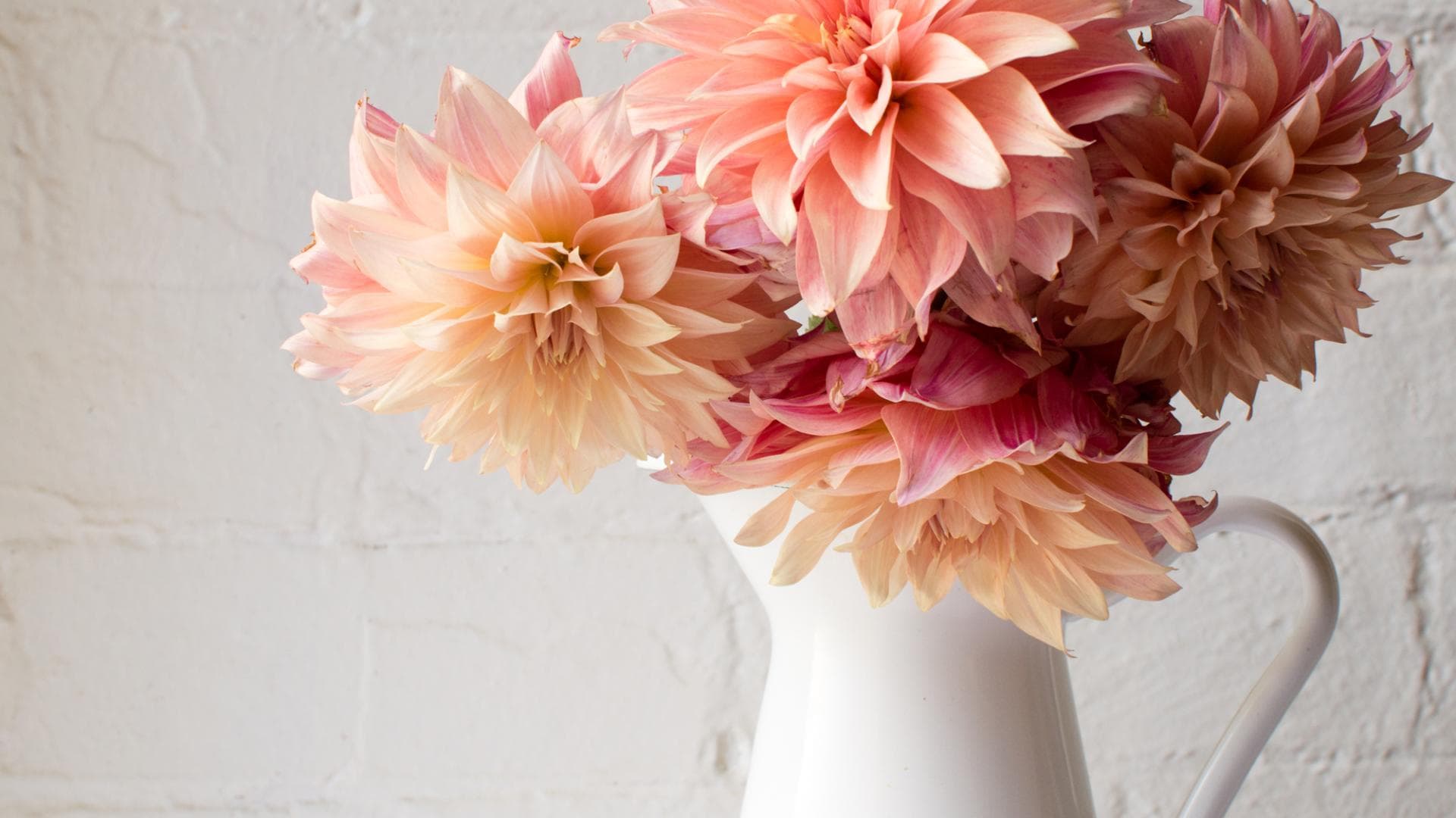 Wie halten Blumen länger?