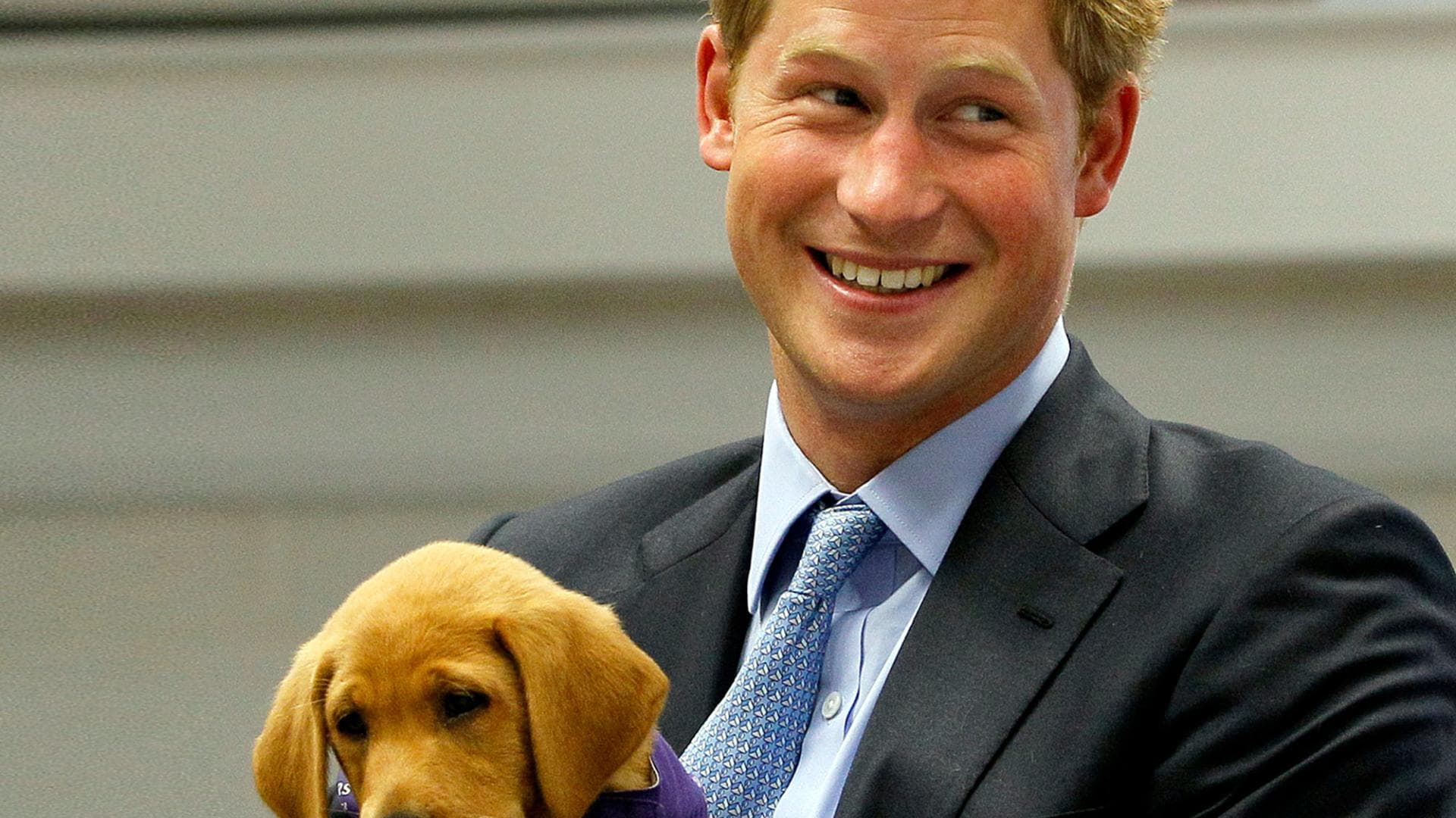 Heiße Männer und süße Tiere