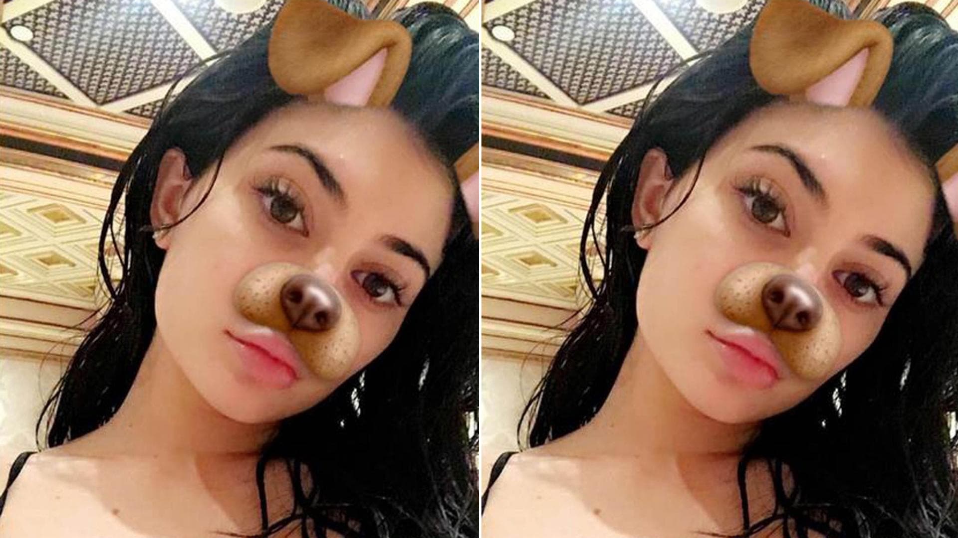 snapchat-hundemaske