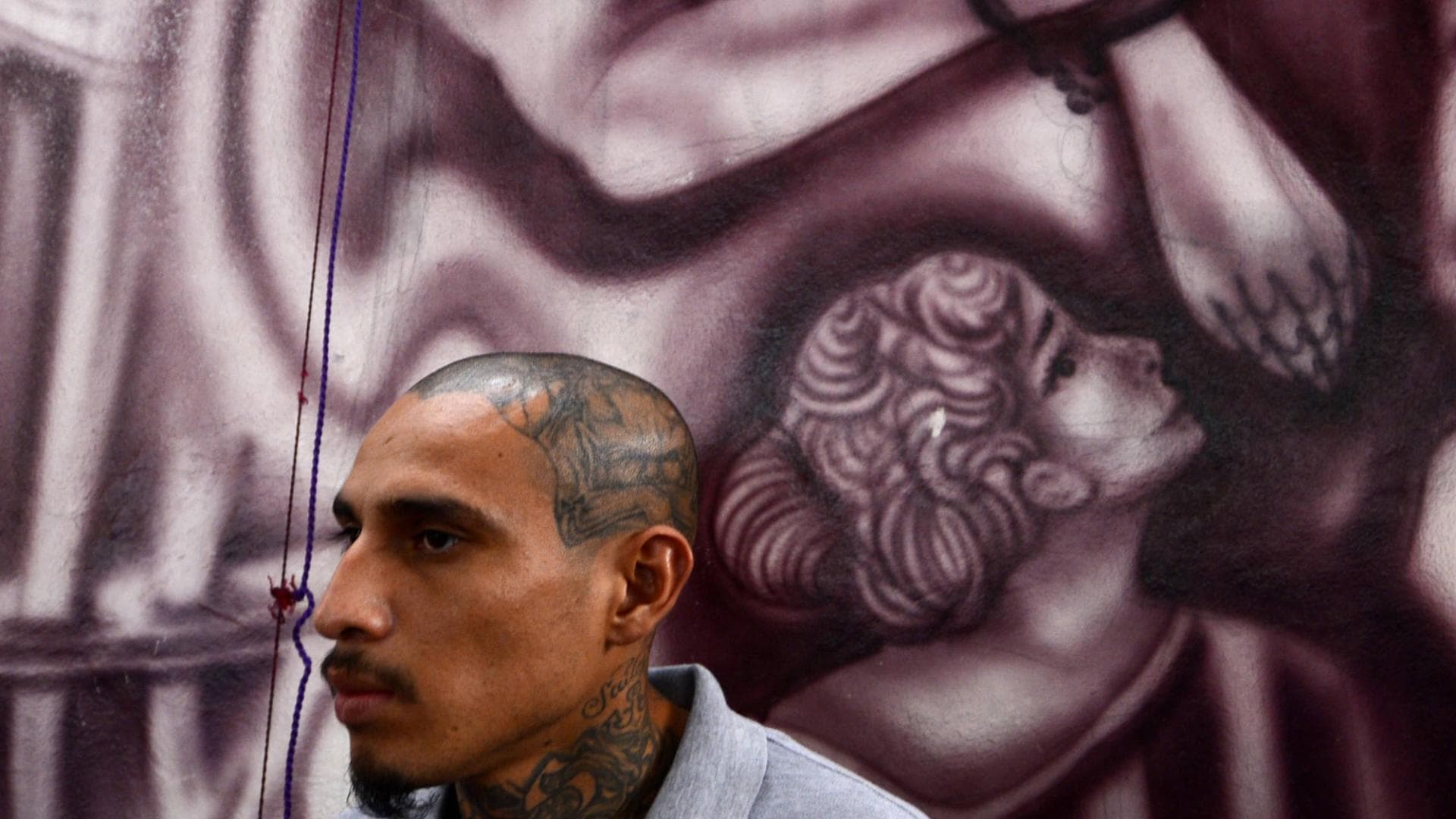 Skin-Deep-Book-2000x1500