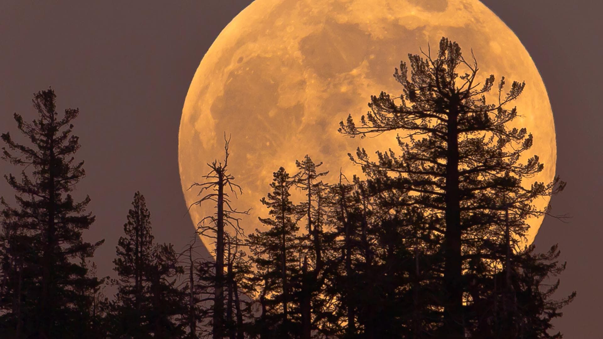 iStock_25646766_XLARGE-geschnitten