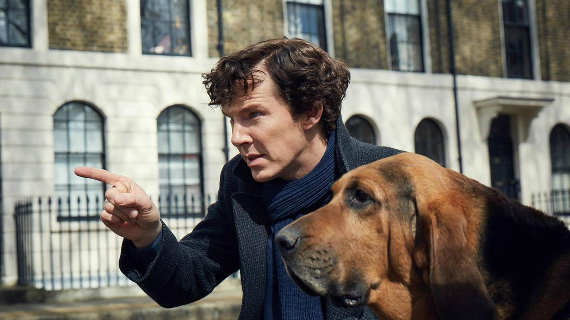 sherlock-bbc-mit-hund-DDP