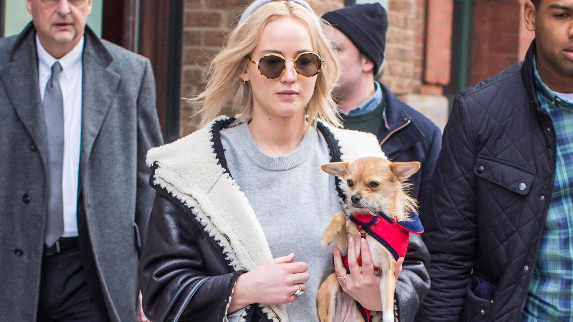 jennifer-lawrence-hund