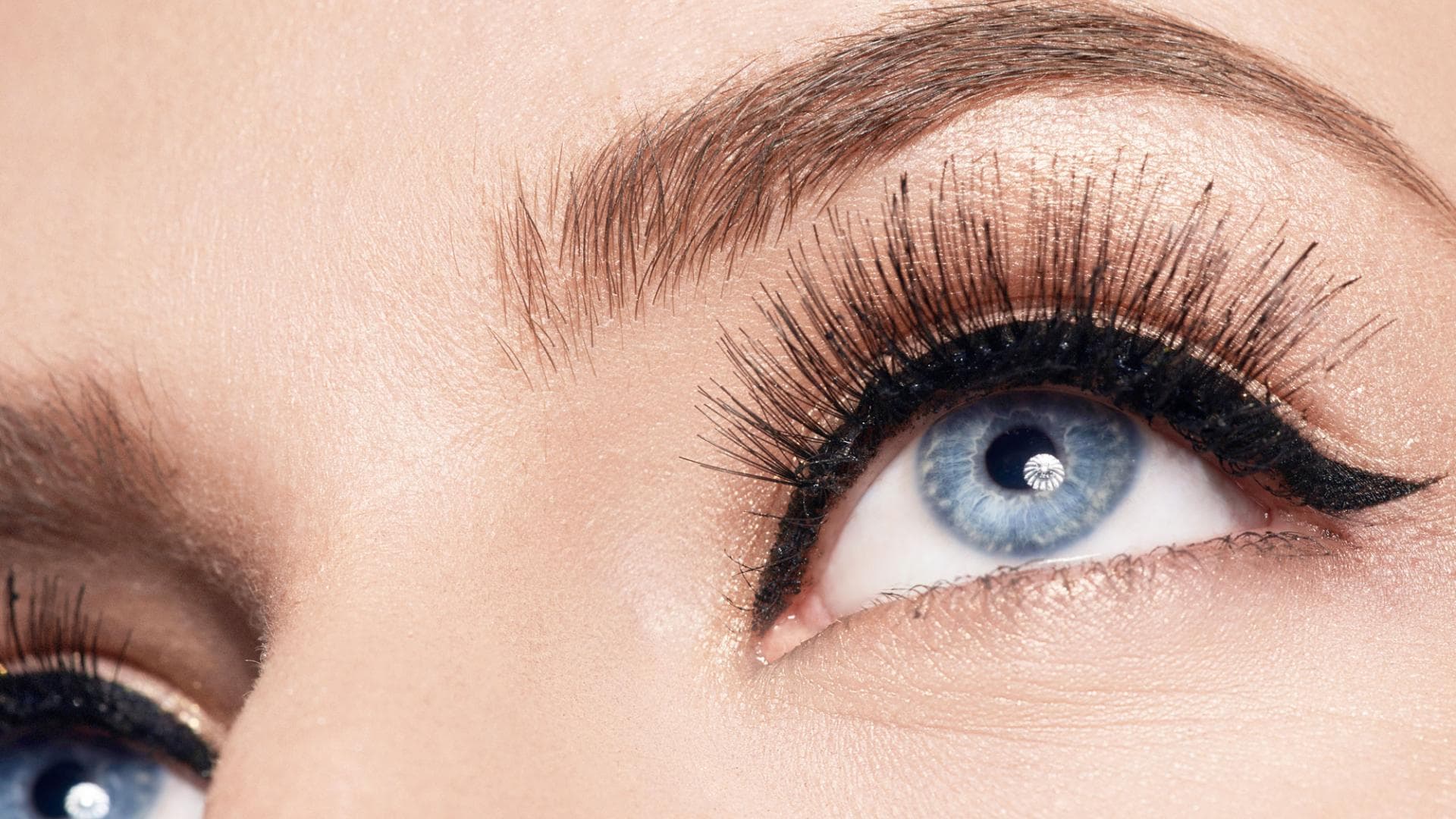 wimpern