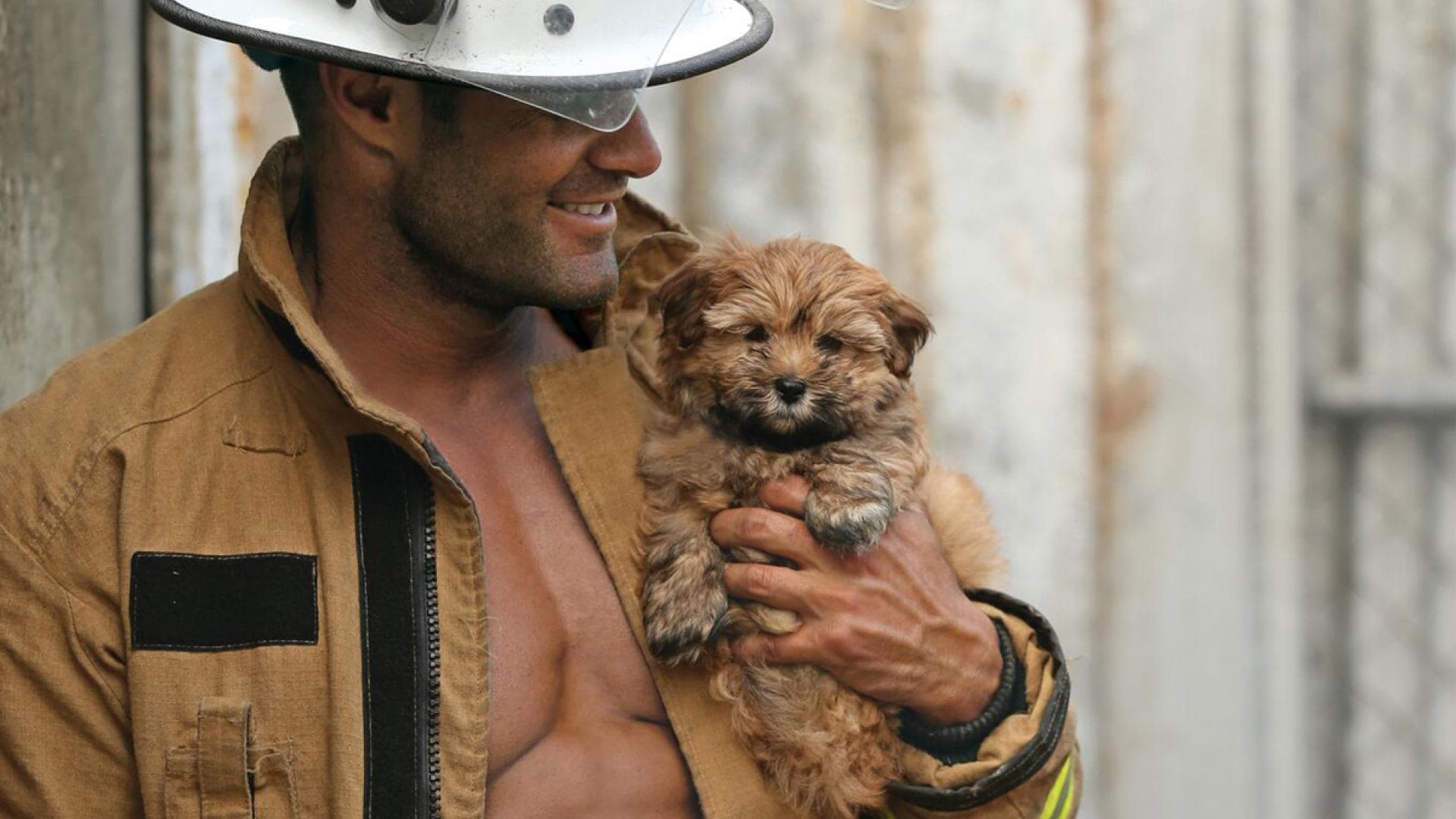 Gern geschehen: Feuerwehrmänner & Tierbabys