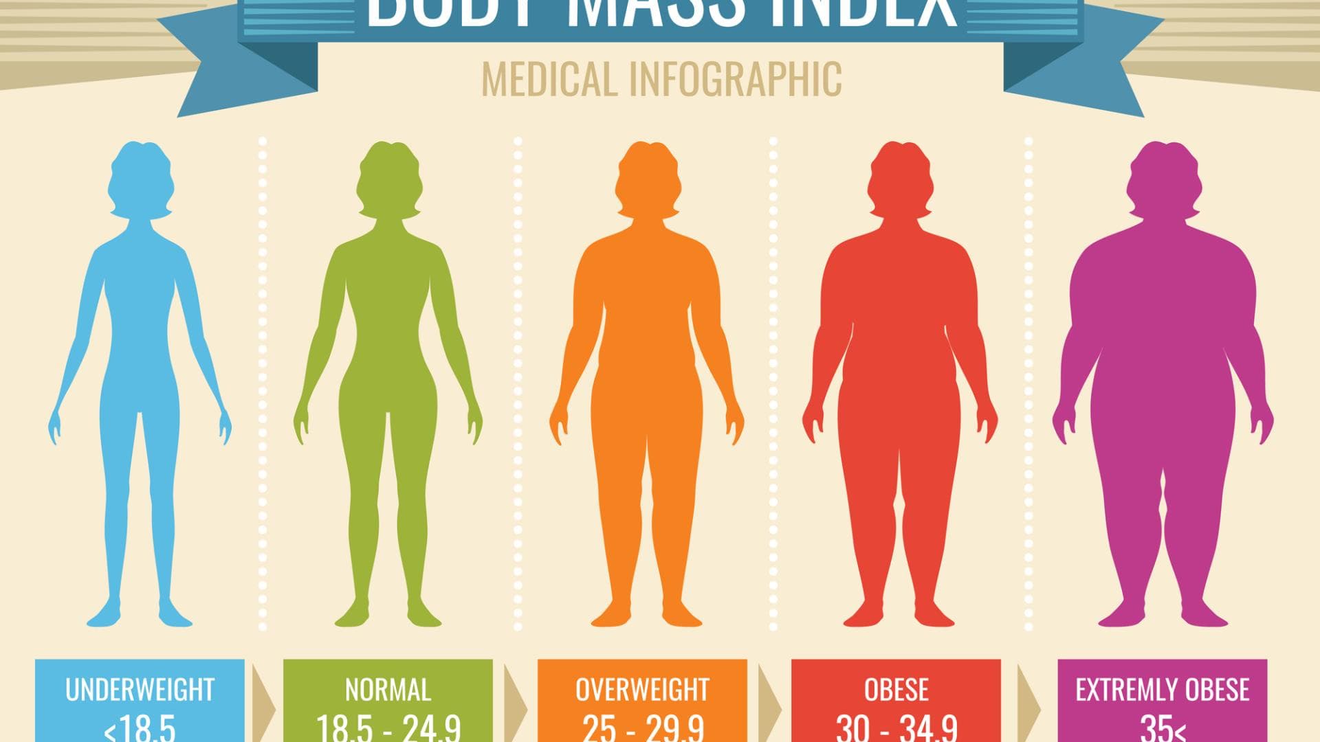 bmi-body-mass-index